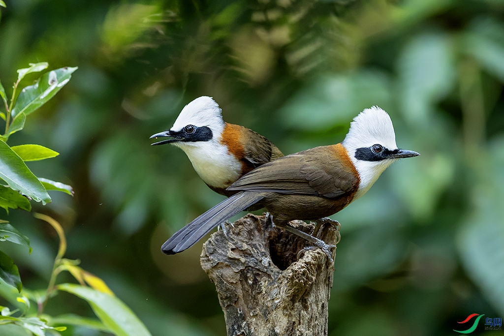 0F7A1986 ����.jpg