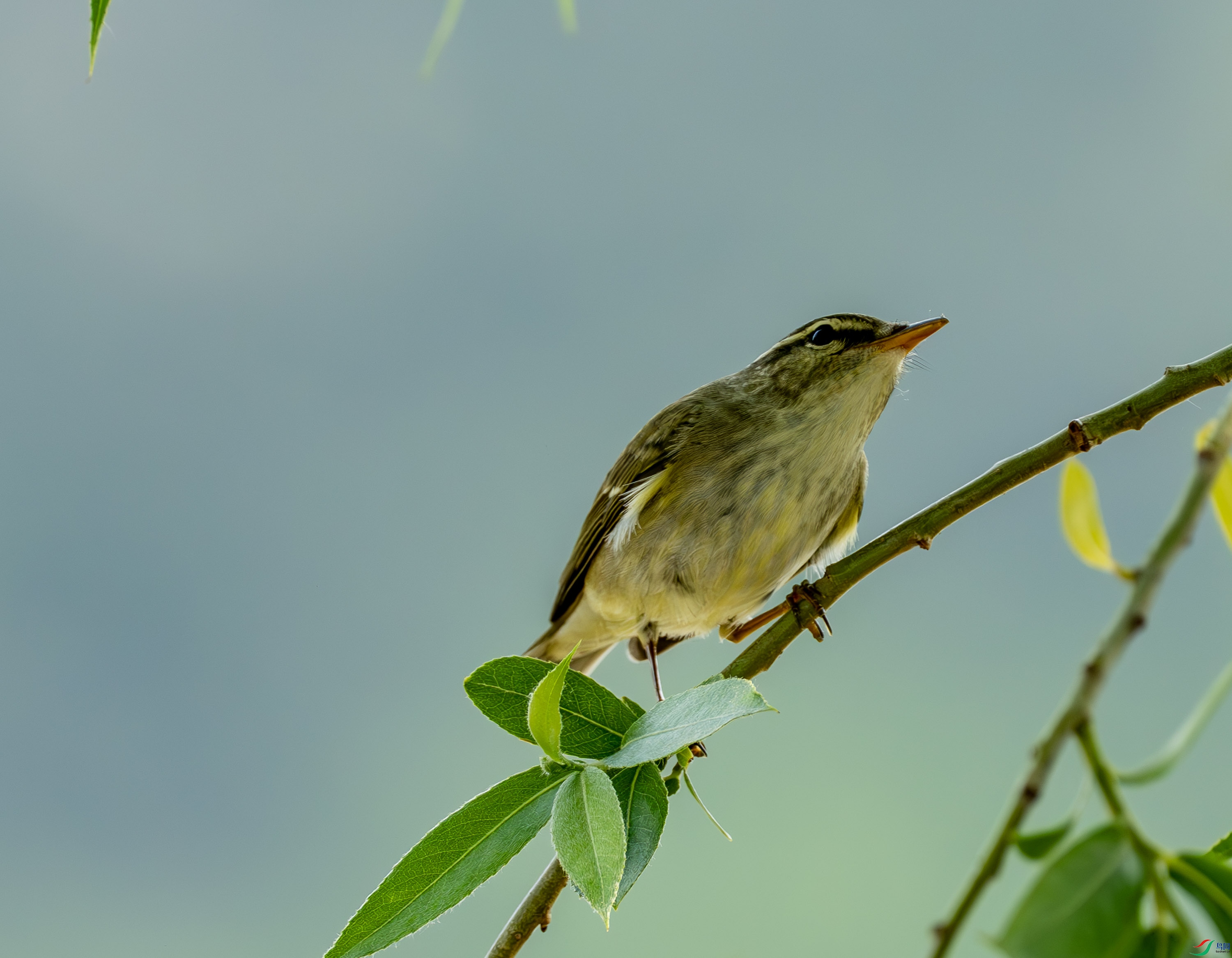 ������ݺ-6.jpg
