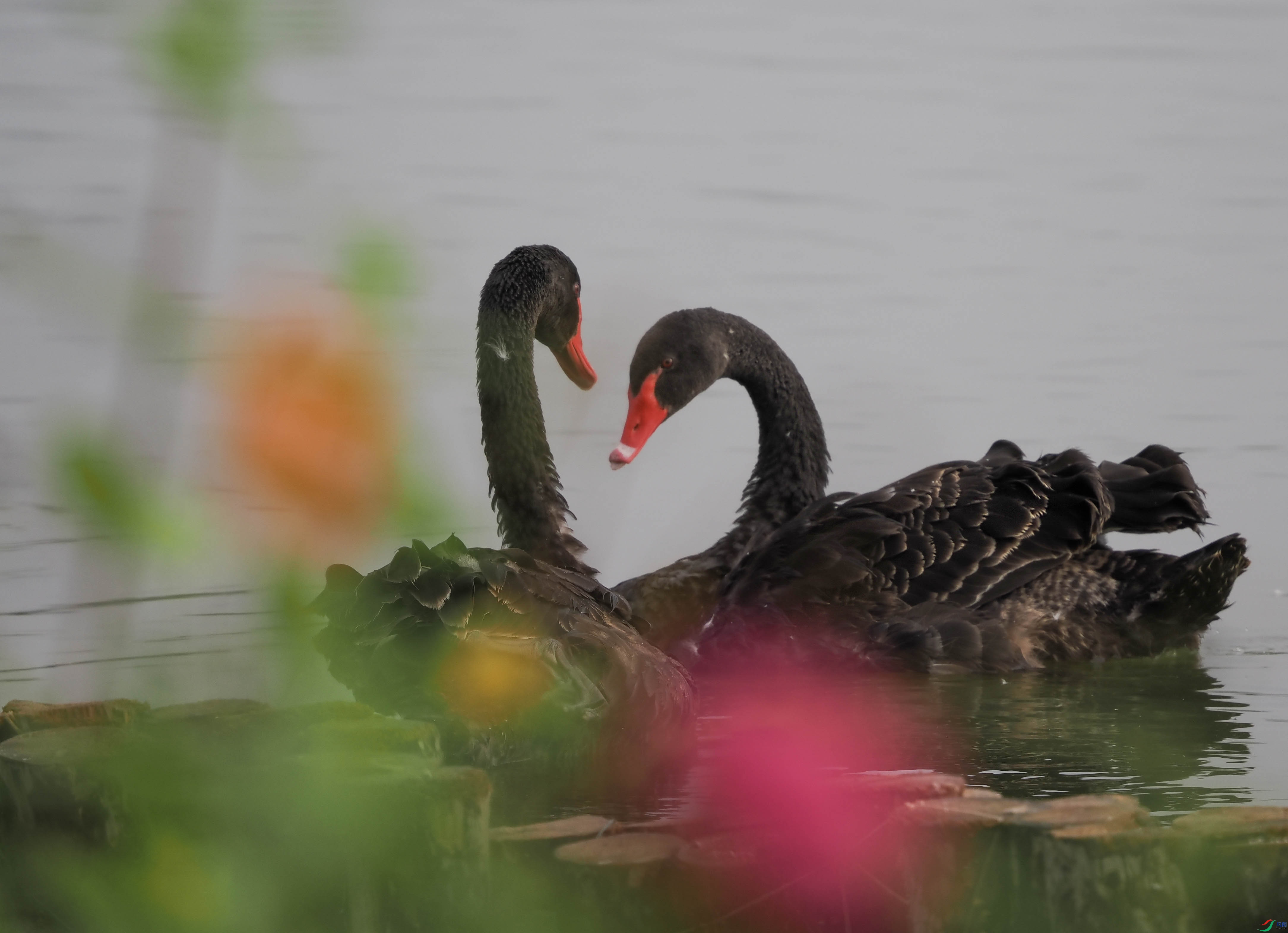 1-xtP9240345 ����.jpg