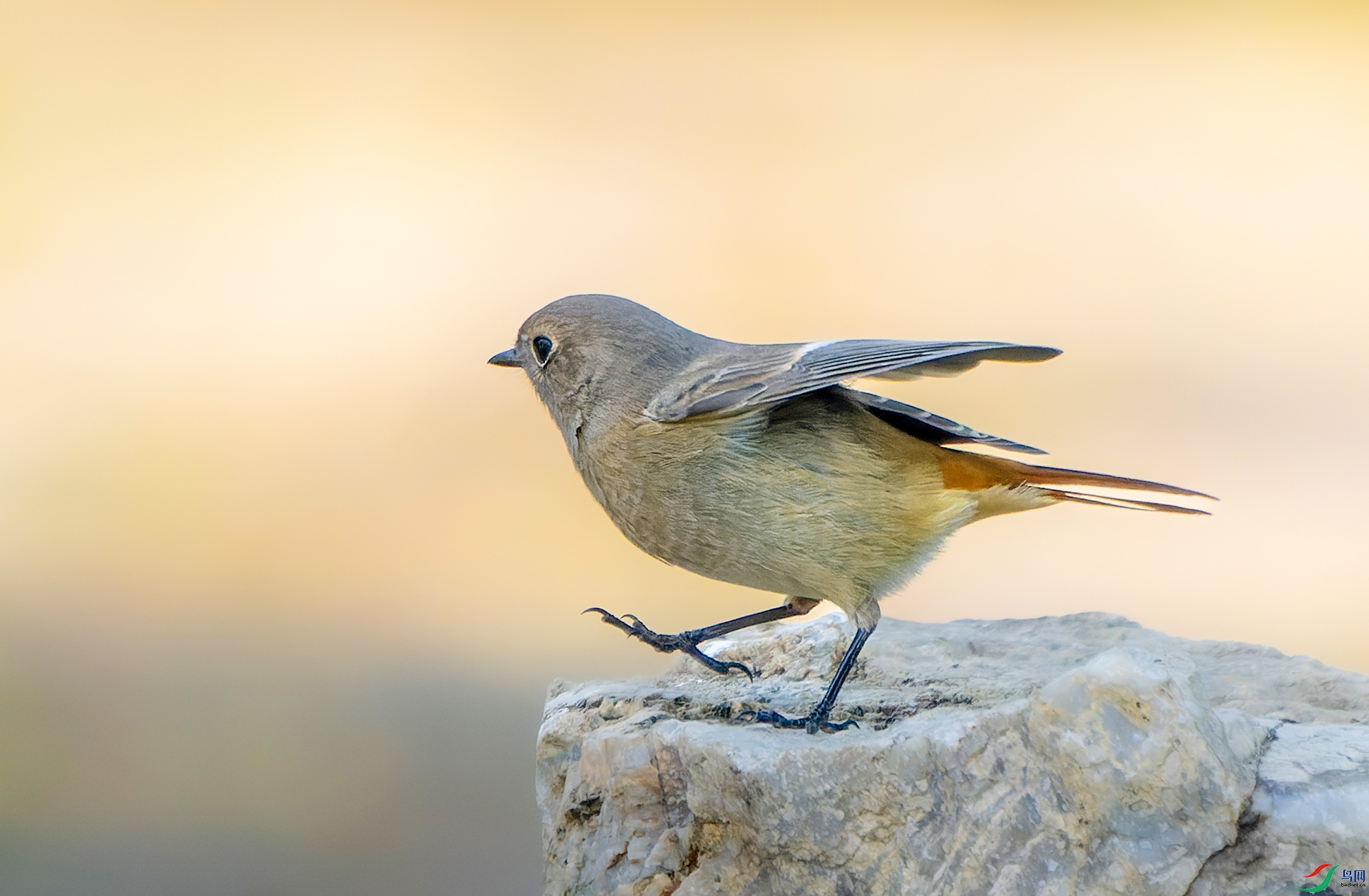 DSC00717-ARW_DxO_DeepPRIME ����.jpg