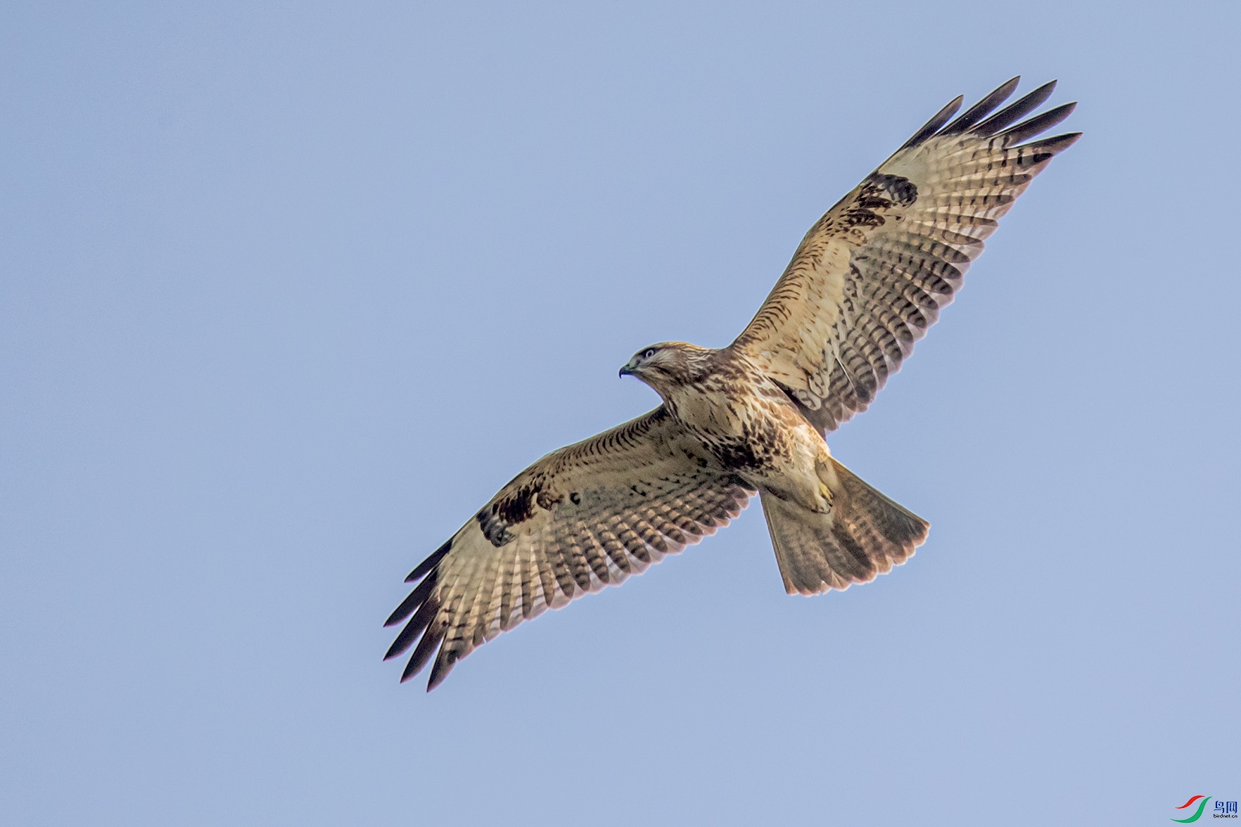 _90I9874 ����.jpg