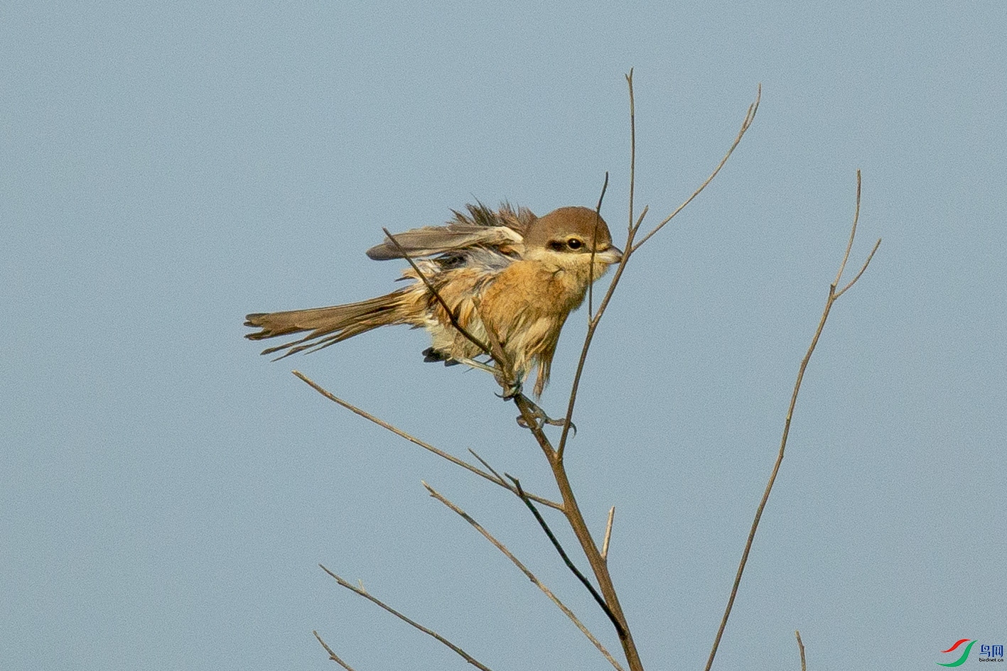 _MG_0292 ����.jpg