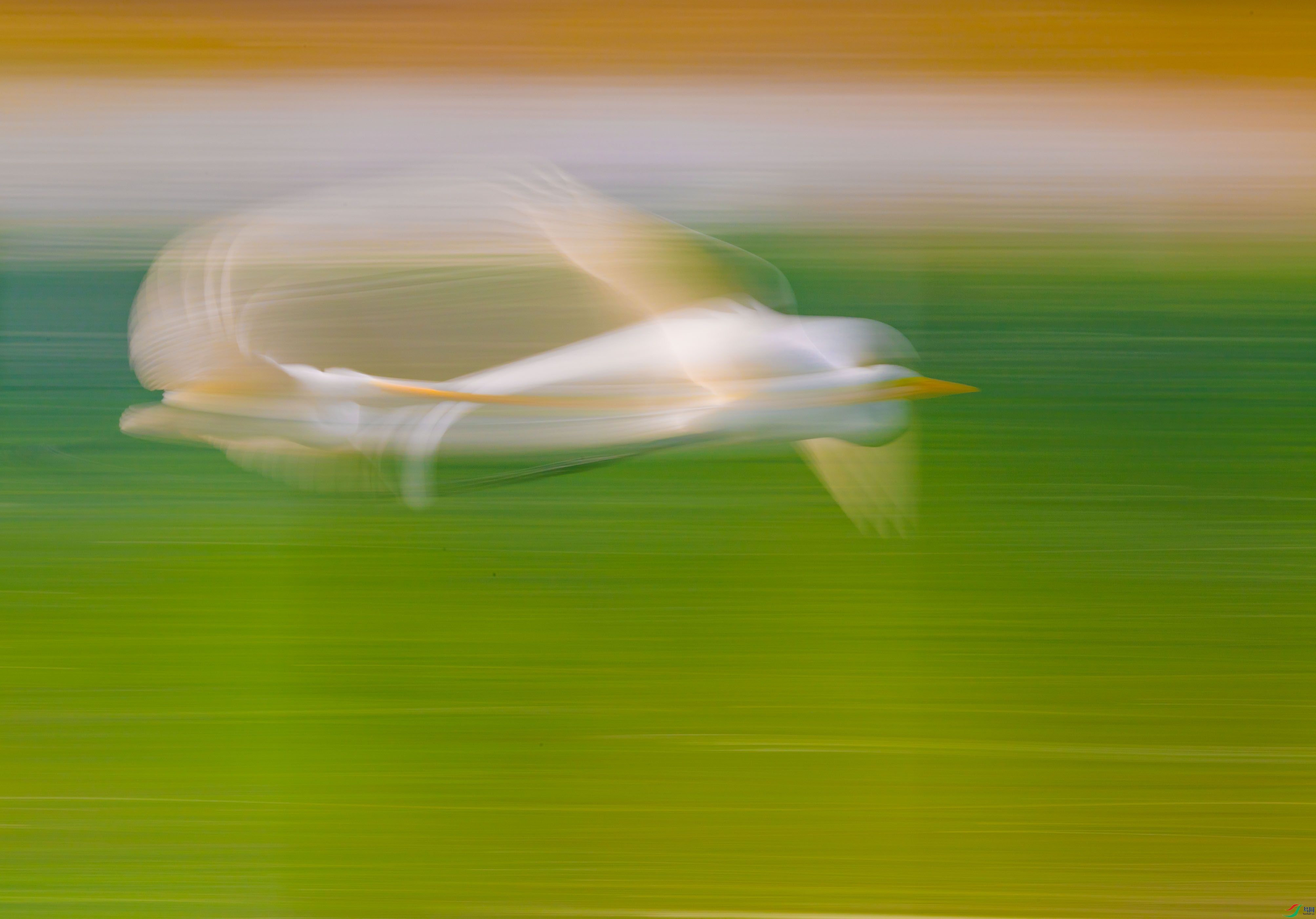DSC_7811-2.jpg