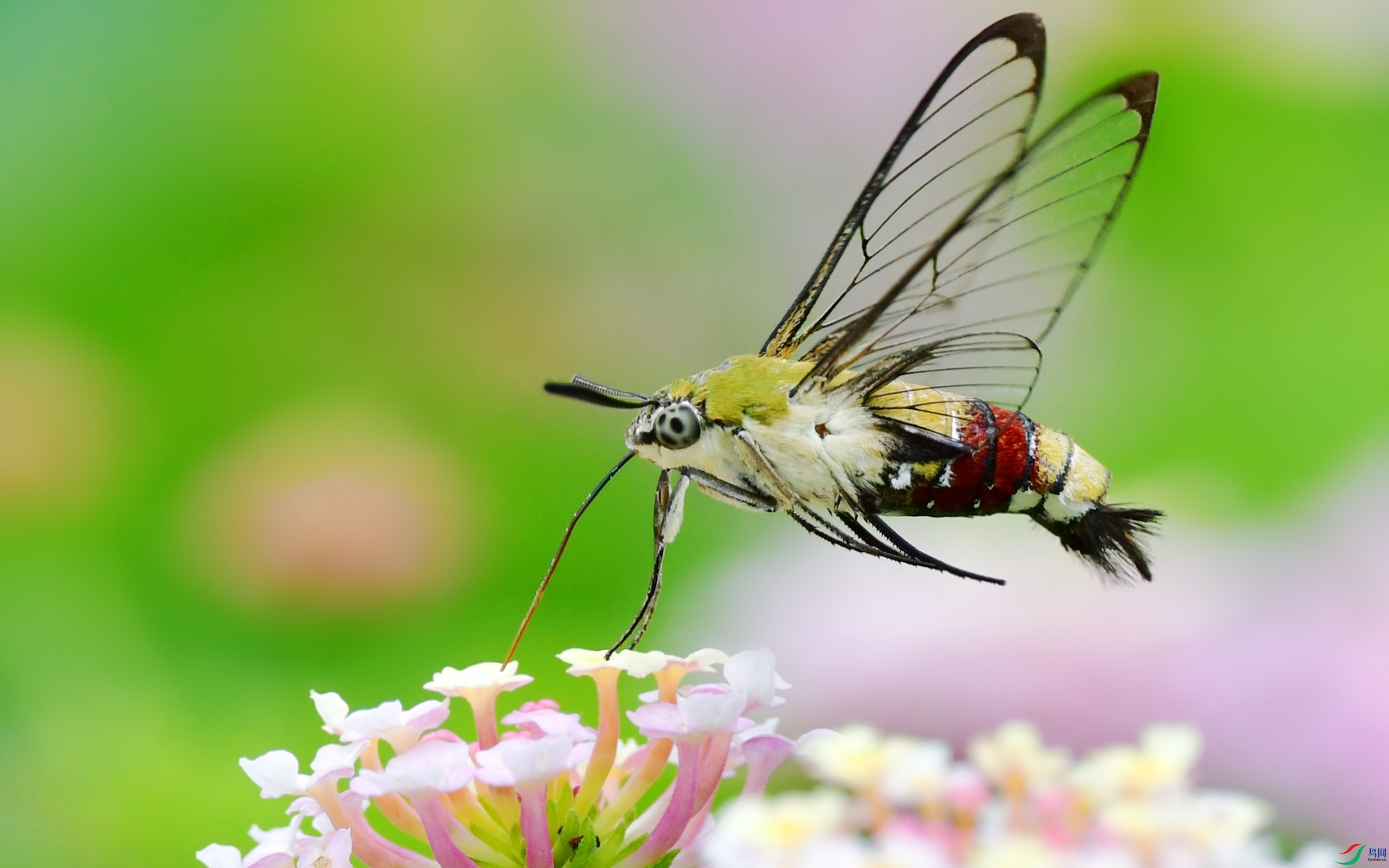 DSC_4880_conew5.jpg