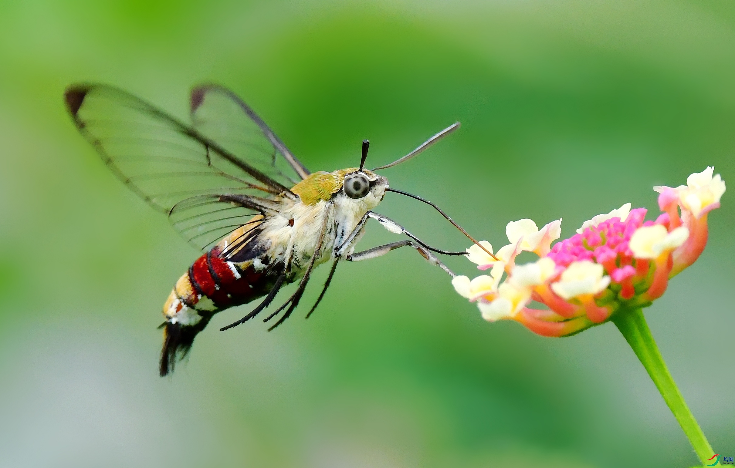 DSC_4912_conew4.jpg