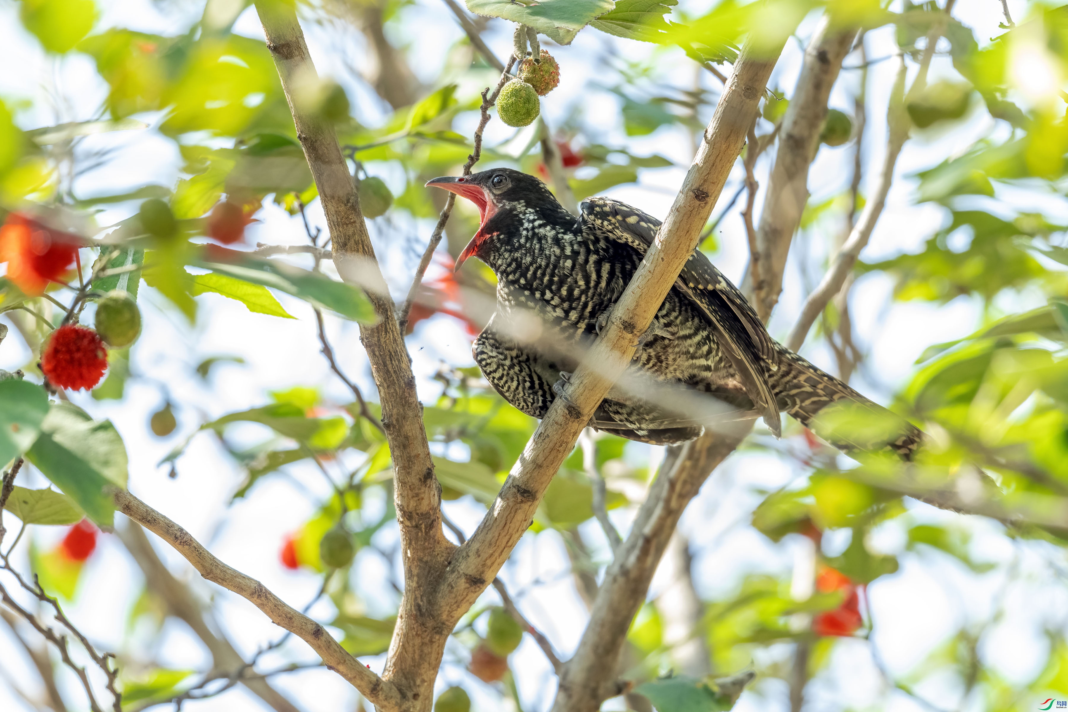 DSC_0660 ���� 2.jpg