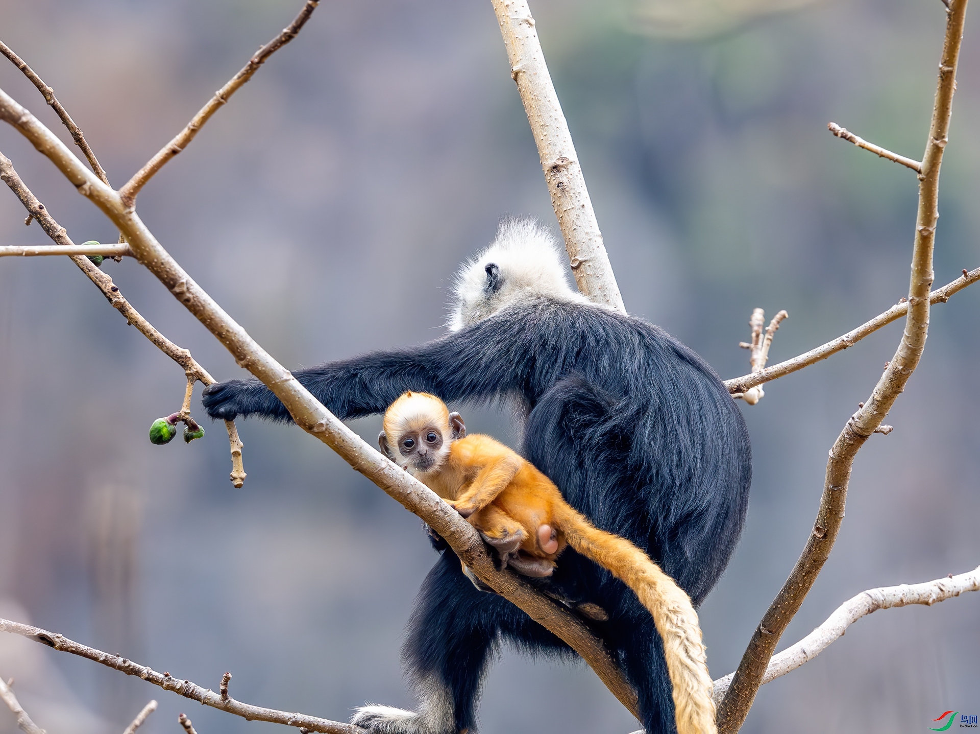 DSC_6154.jpg