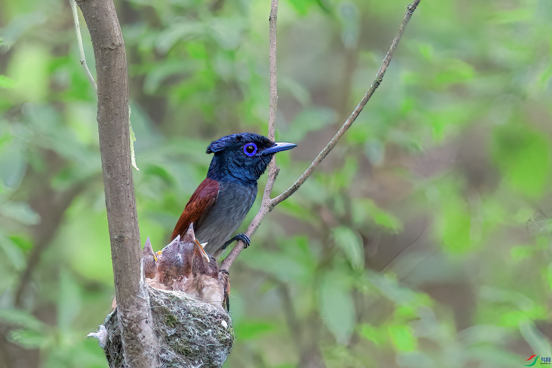AQ4P0024-1.jpg