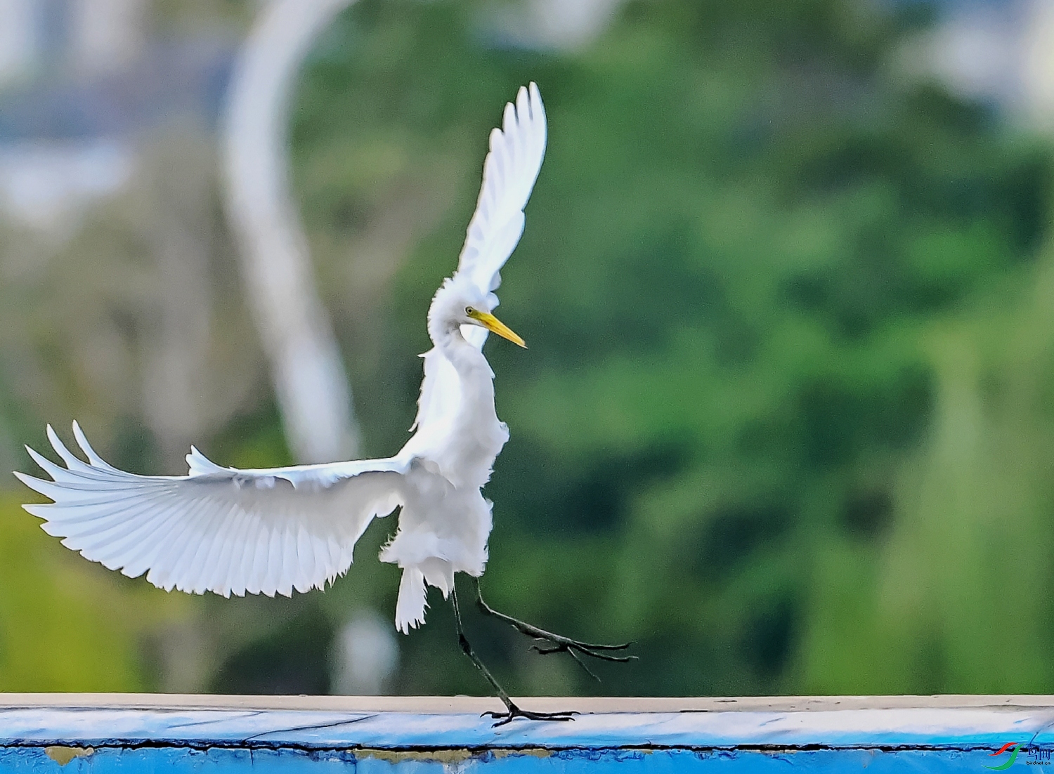 DSC_1652---_conew2.jpg