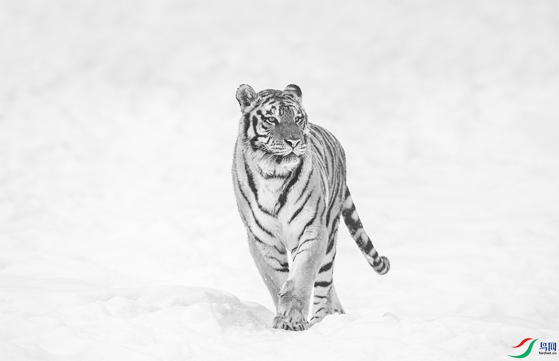 AC3I9309 ����222.jpg