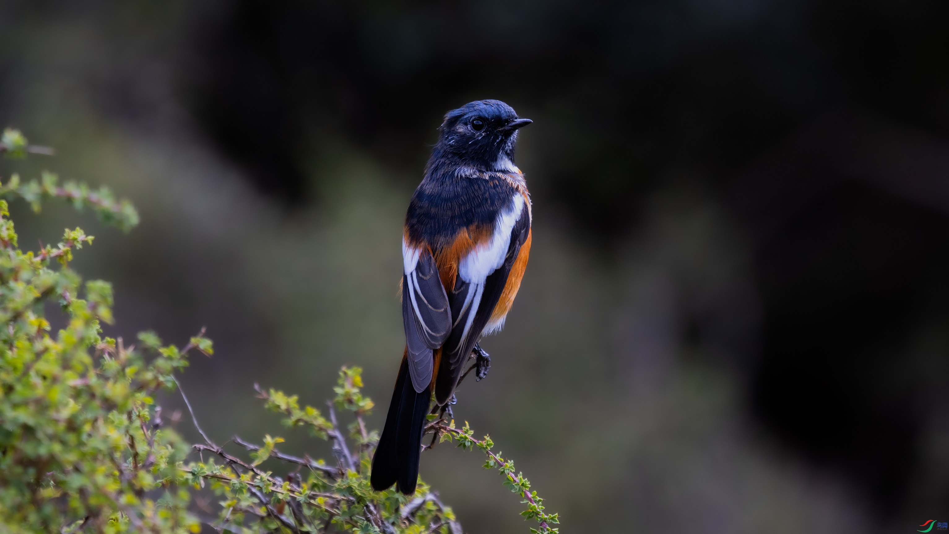 0O7A0825 ����444.jpg