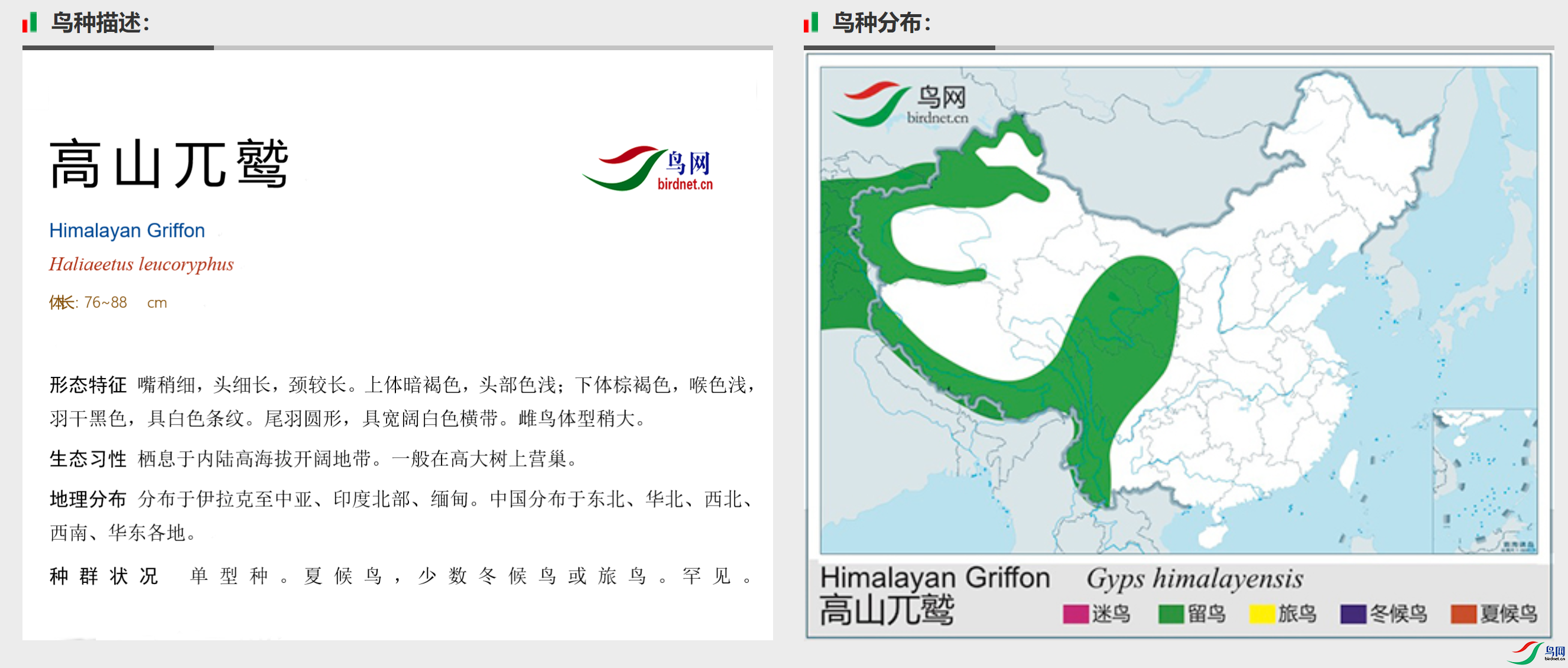 211021b0i970d9cahr993w.png