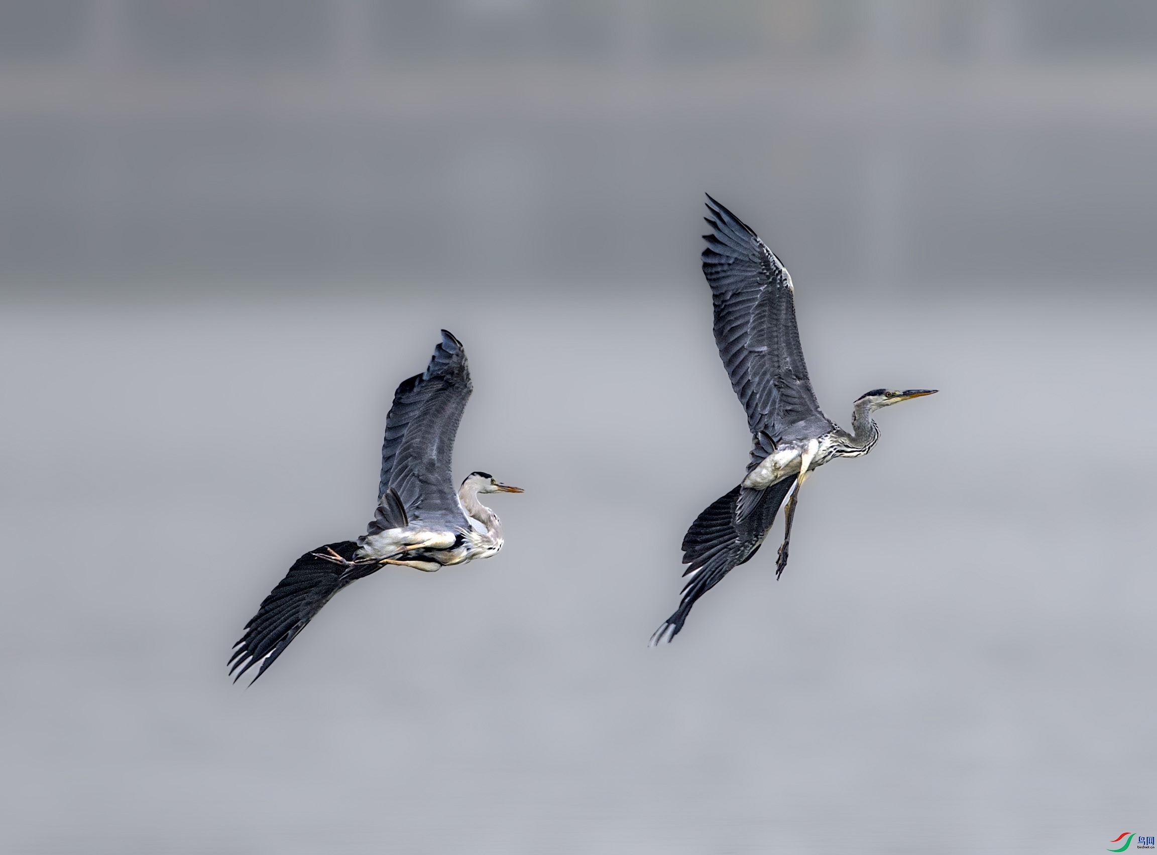 A79I4599 ����.jpg