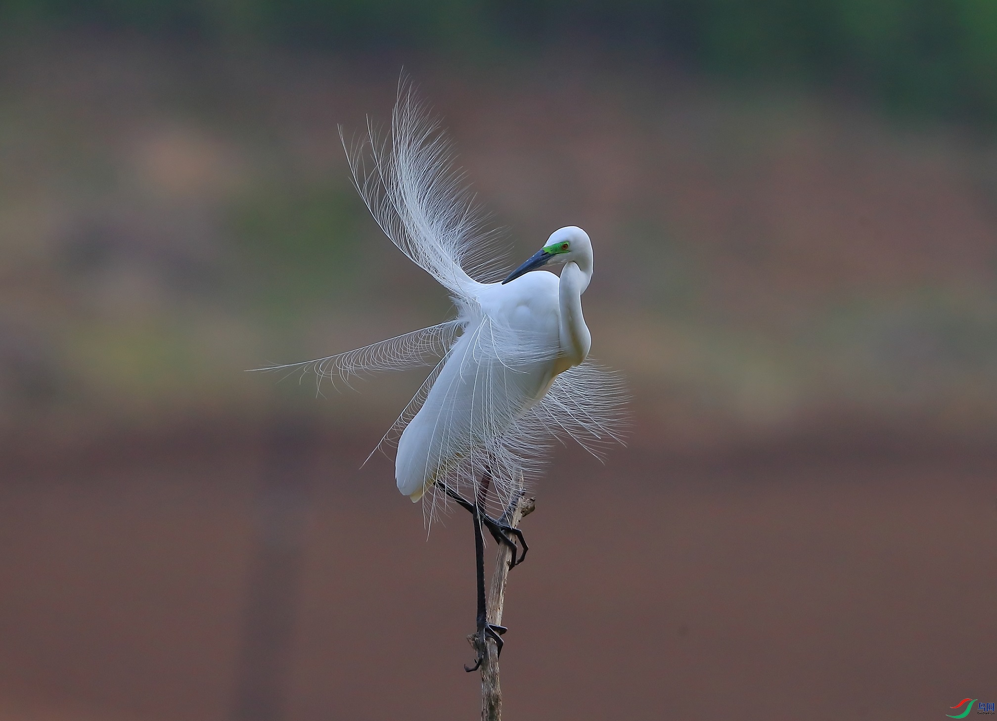 AL5I2519.JPG