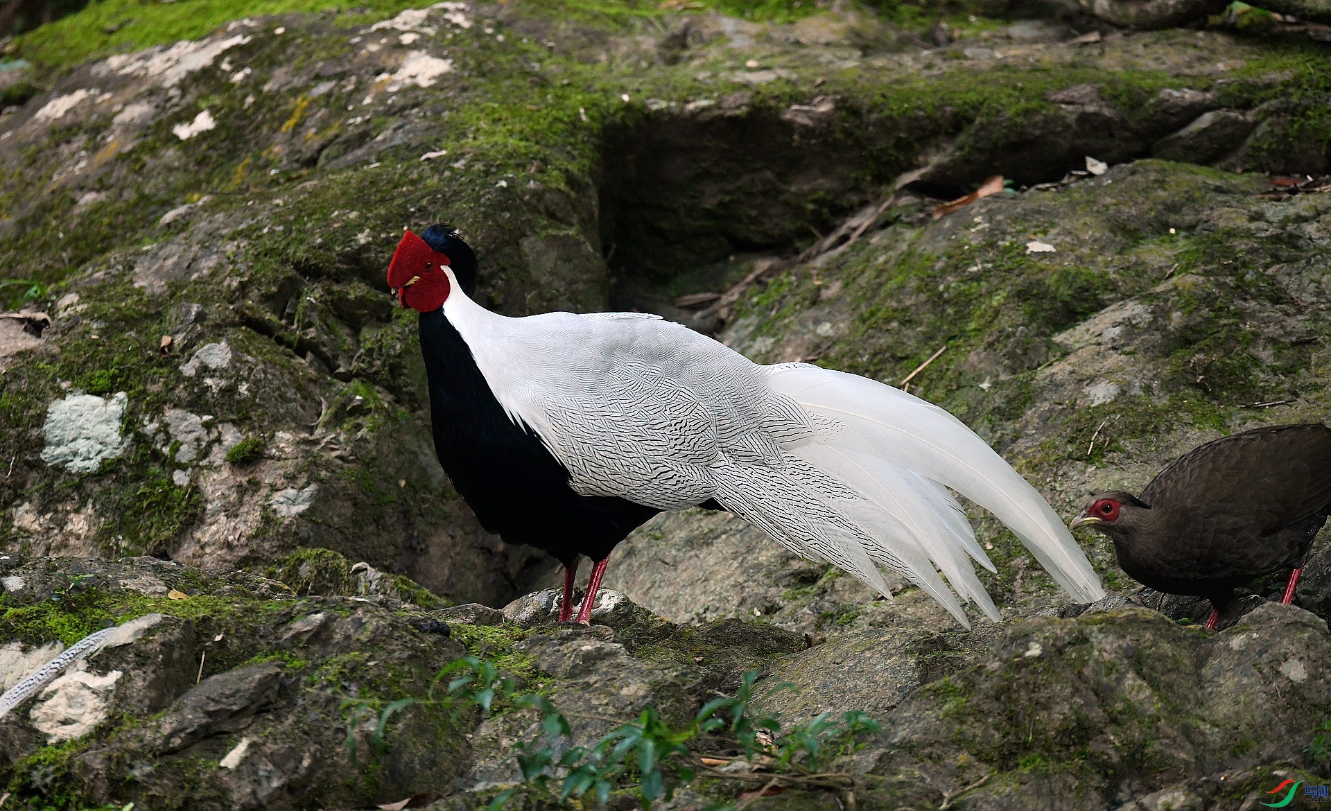 DSC_0107.jpg
