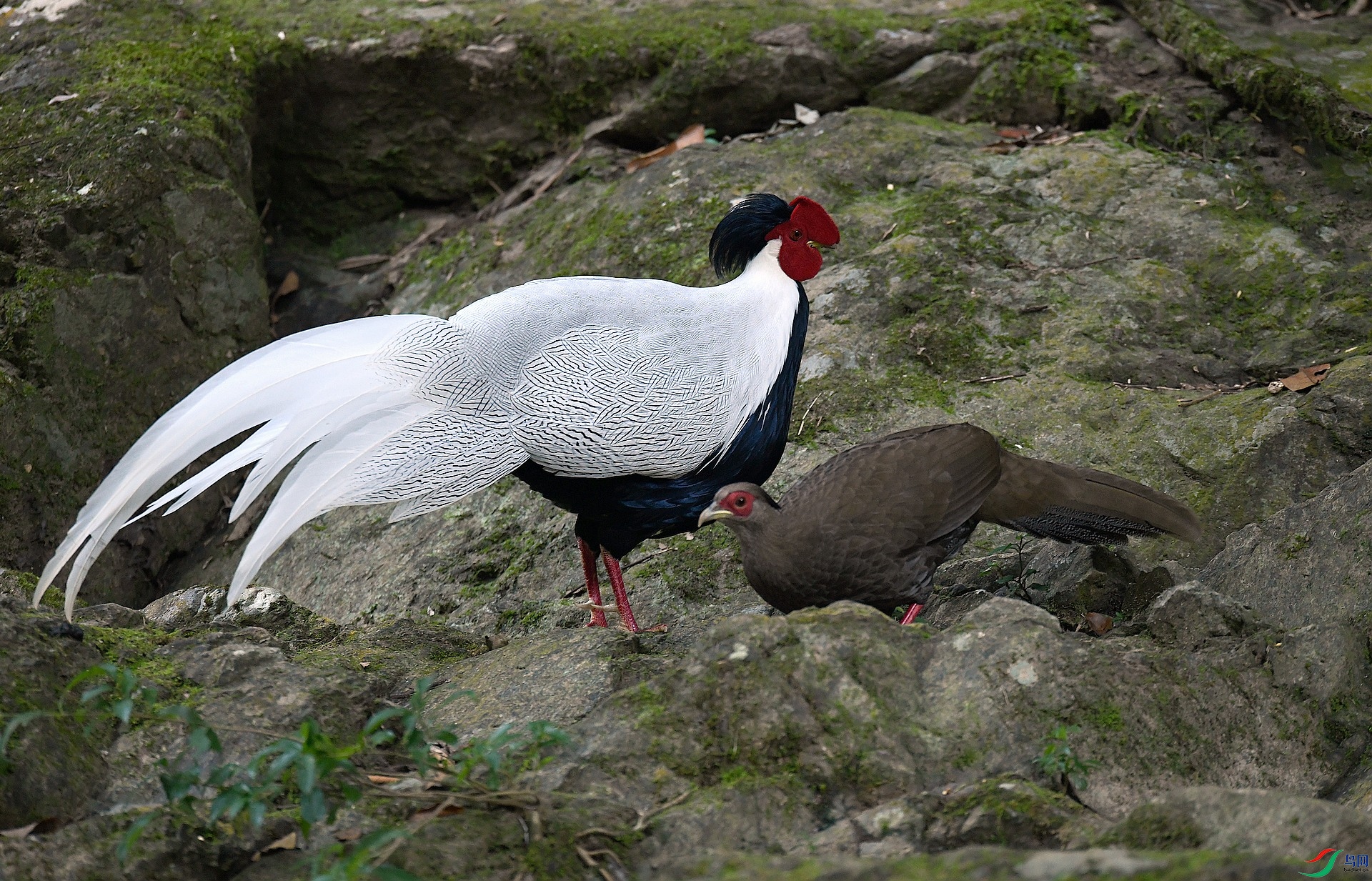 DSC_0116.jpg