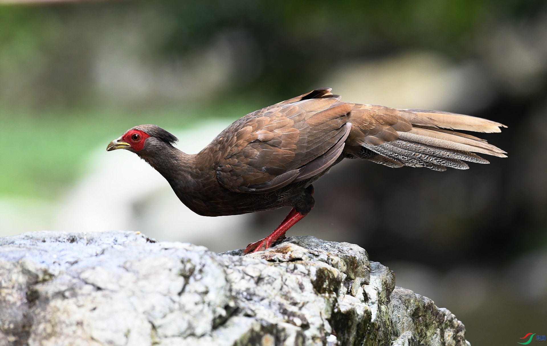 DSC_8288.jpg