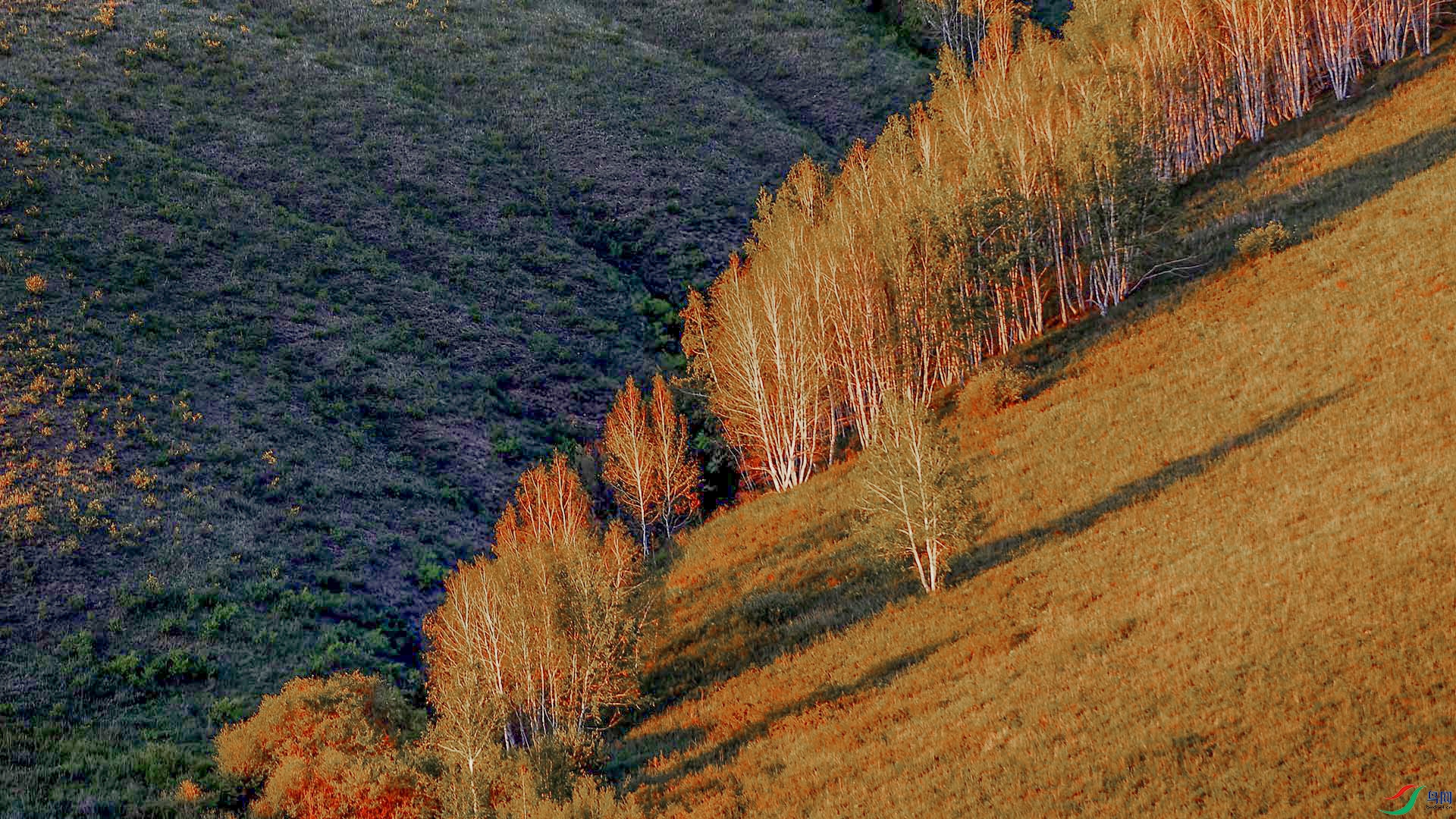 DSCa_ (233)mmqqq.jpg