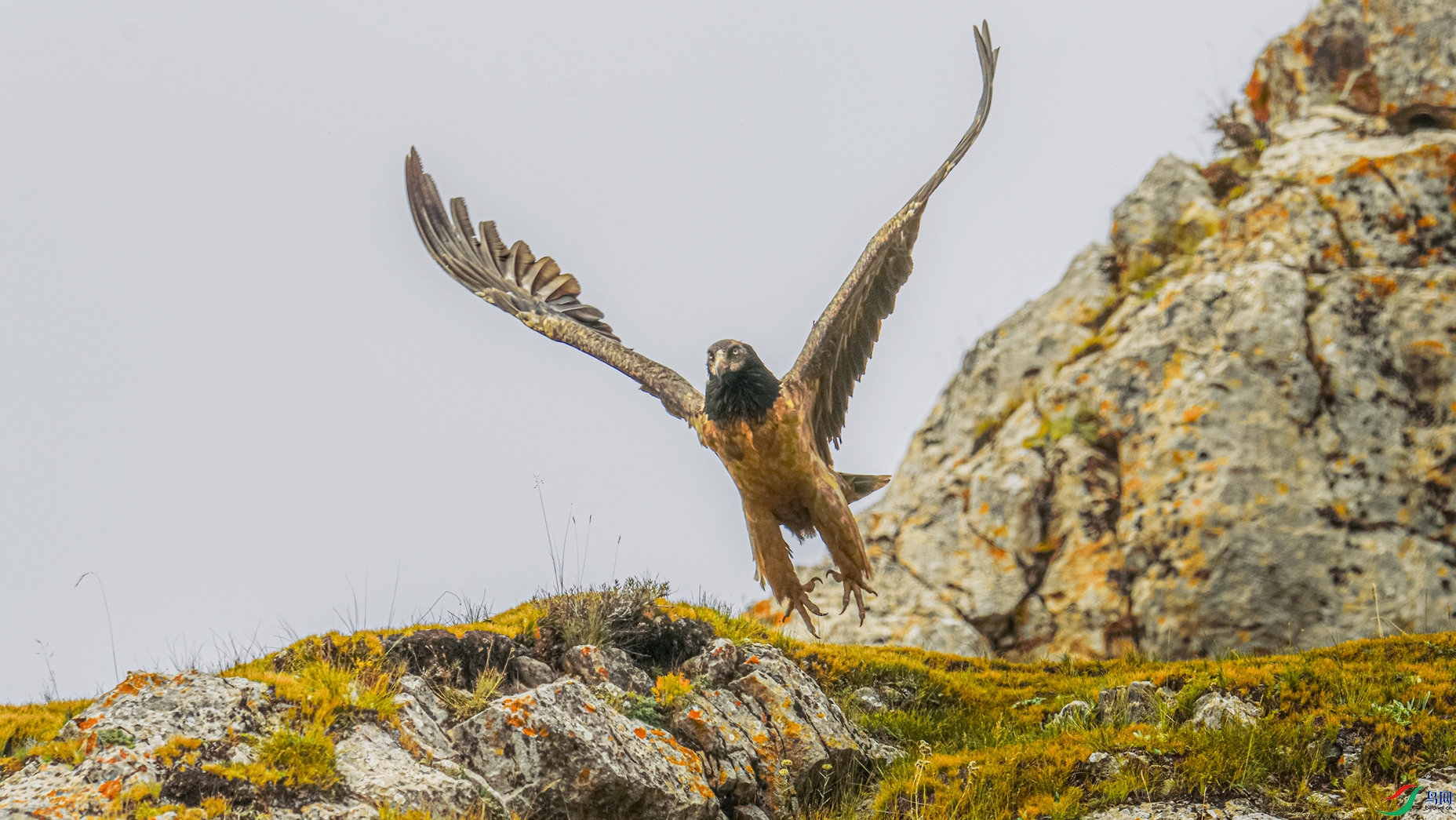_DSC2159_����.jpg