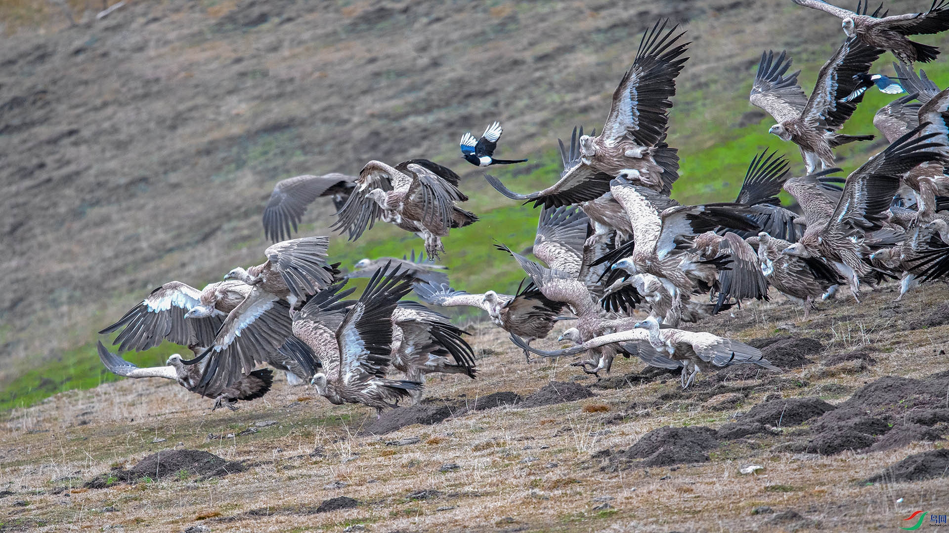 _DSC8669 ����.jpg