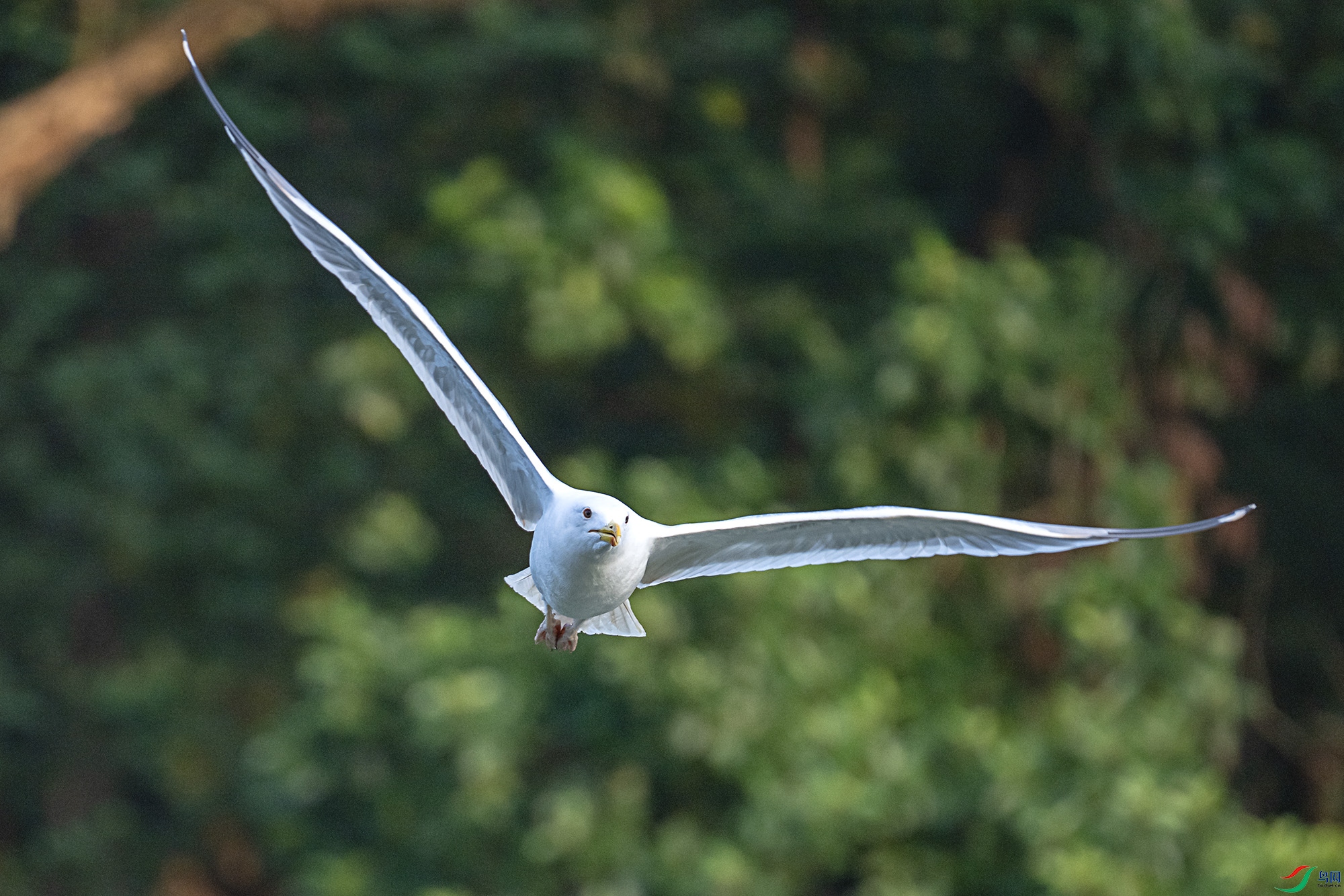 DSC_9821.jpg