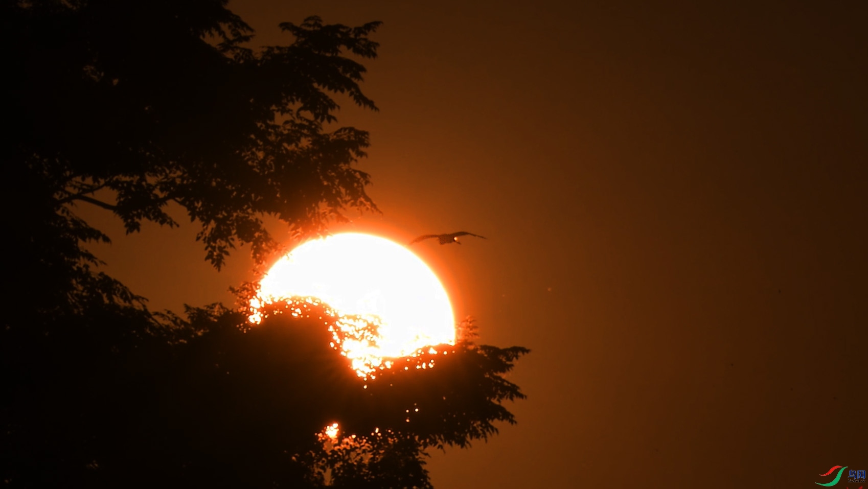 {8EE4A87B-66E7-45BC-993D-EC76C26DD7B7} ����.jpg