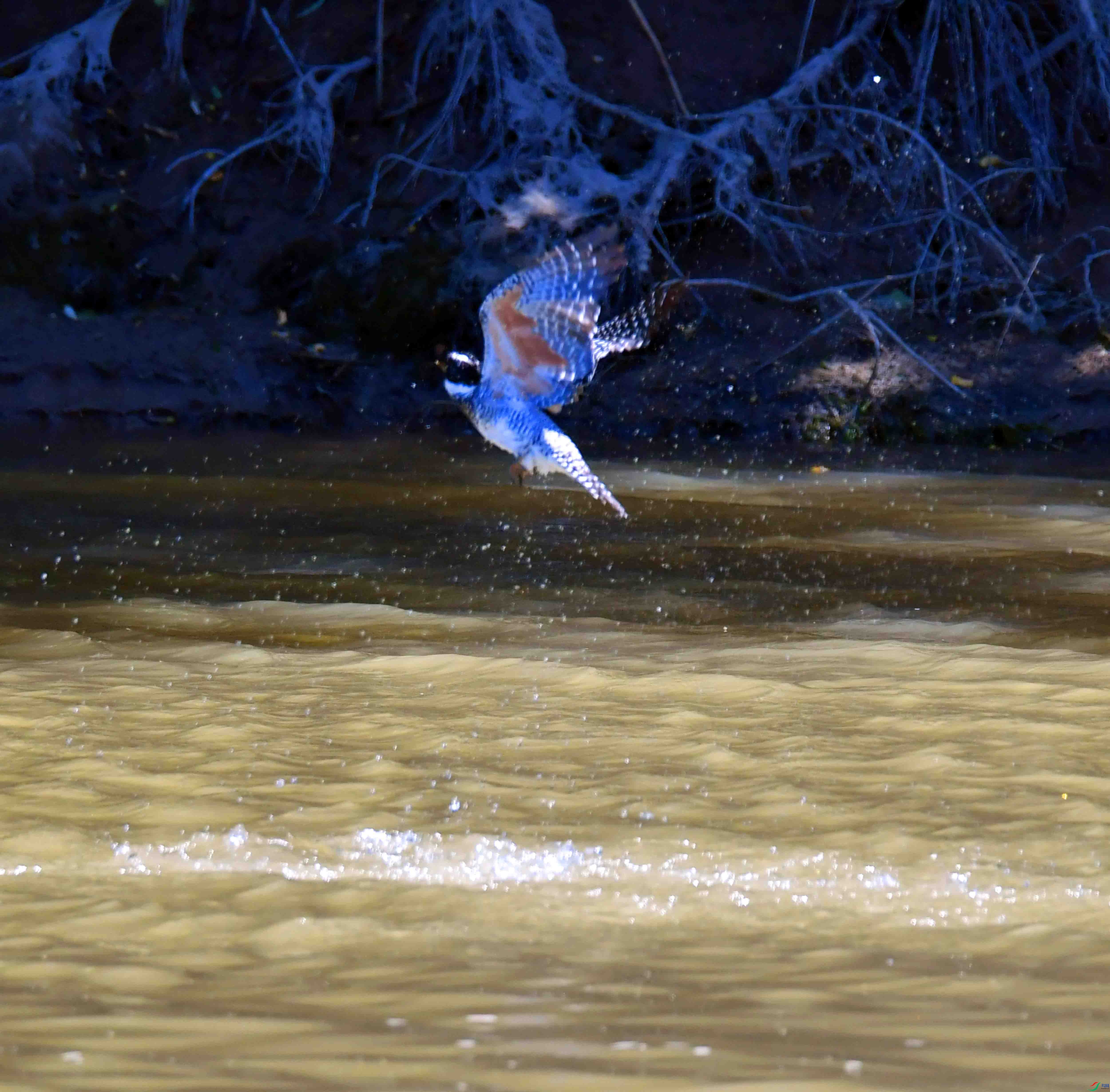 DSC_0812.JPG