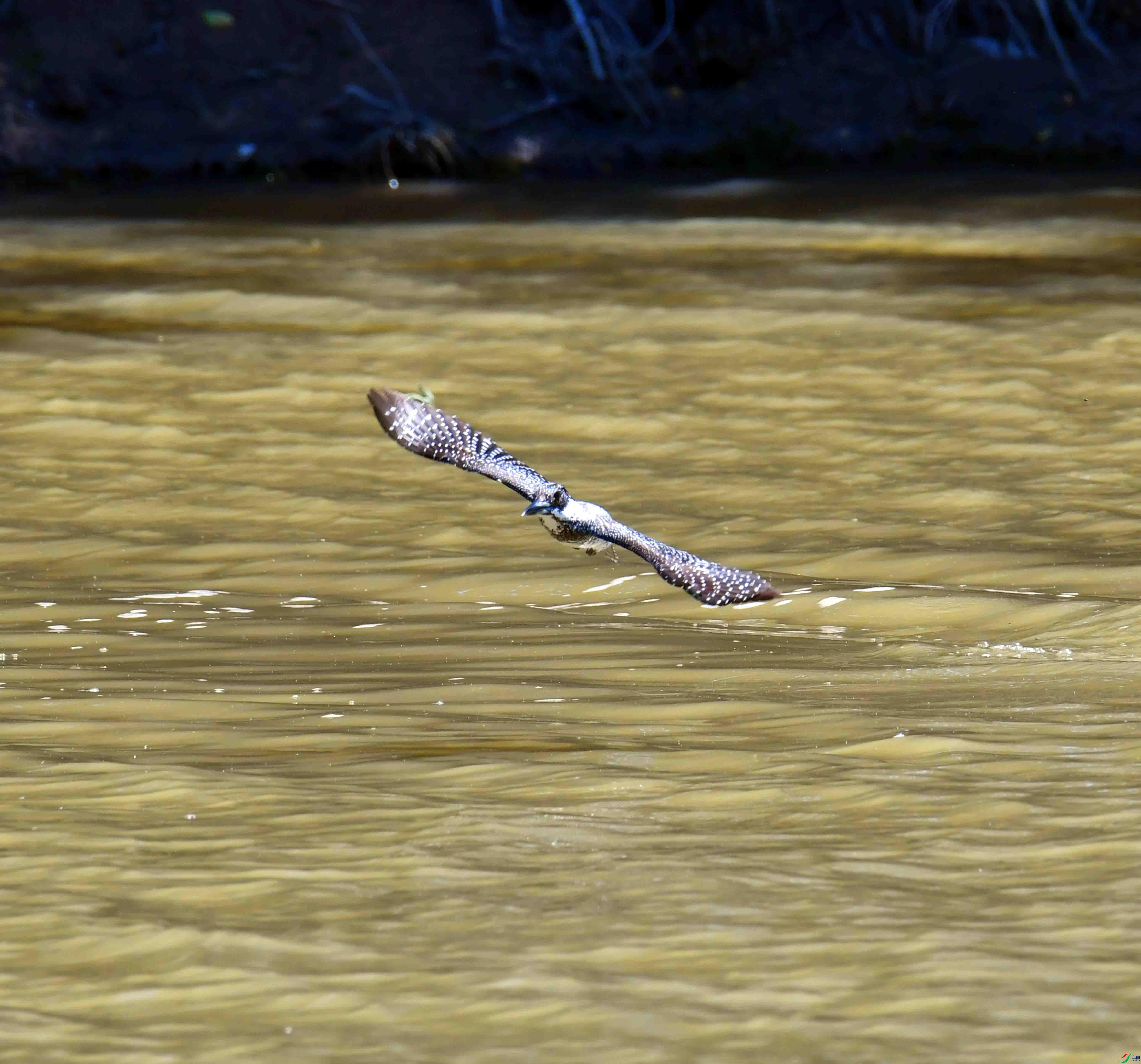 DSC_0856.JPG