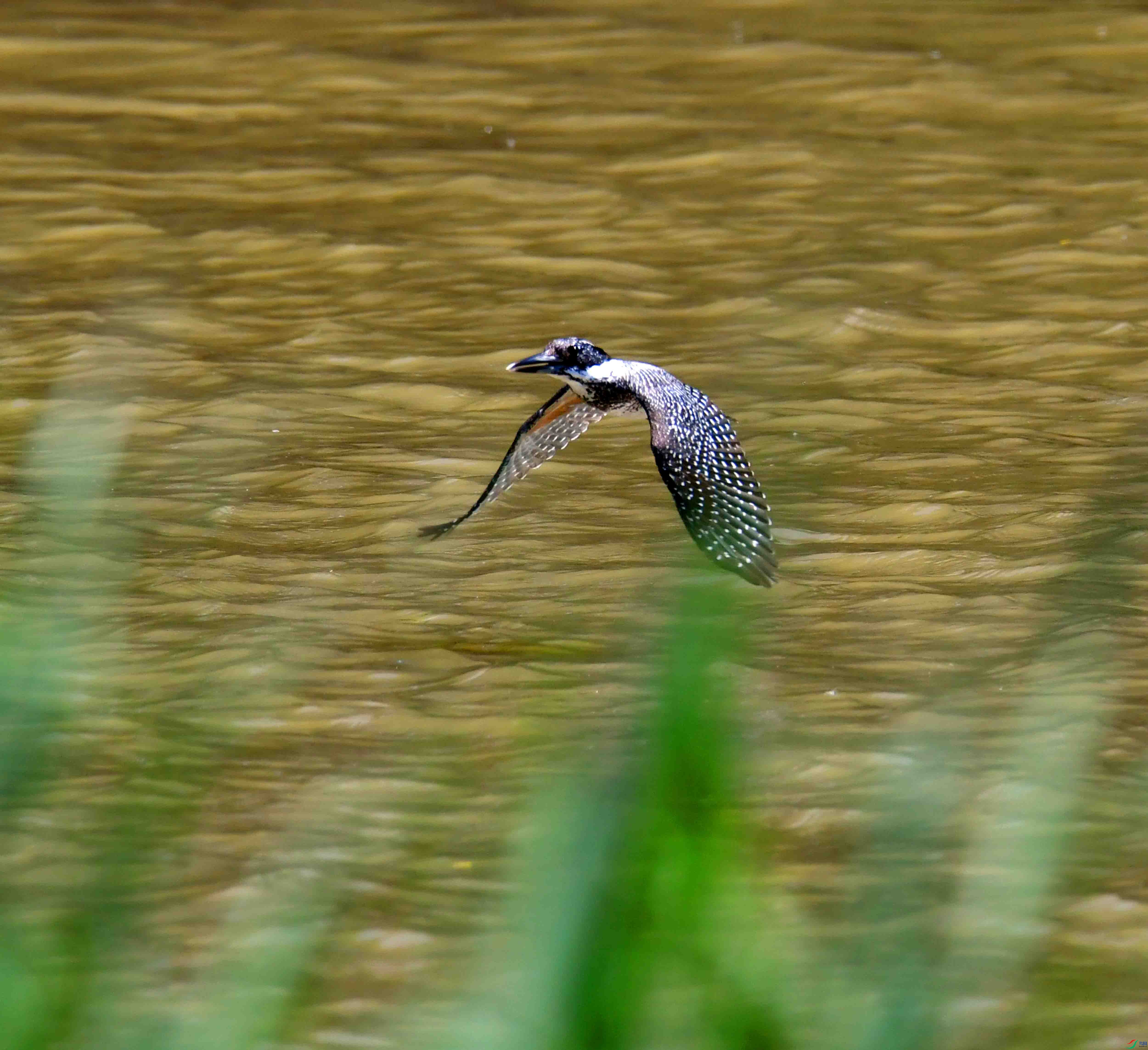DSC_0864.JPG