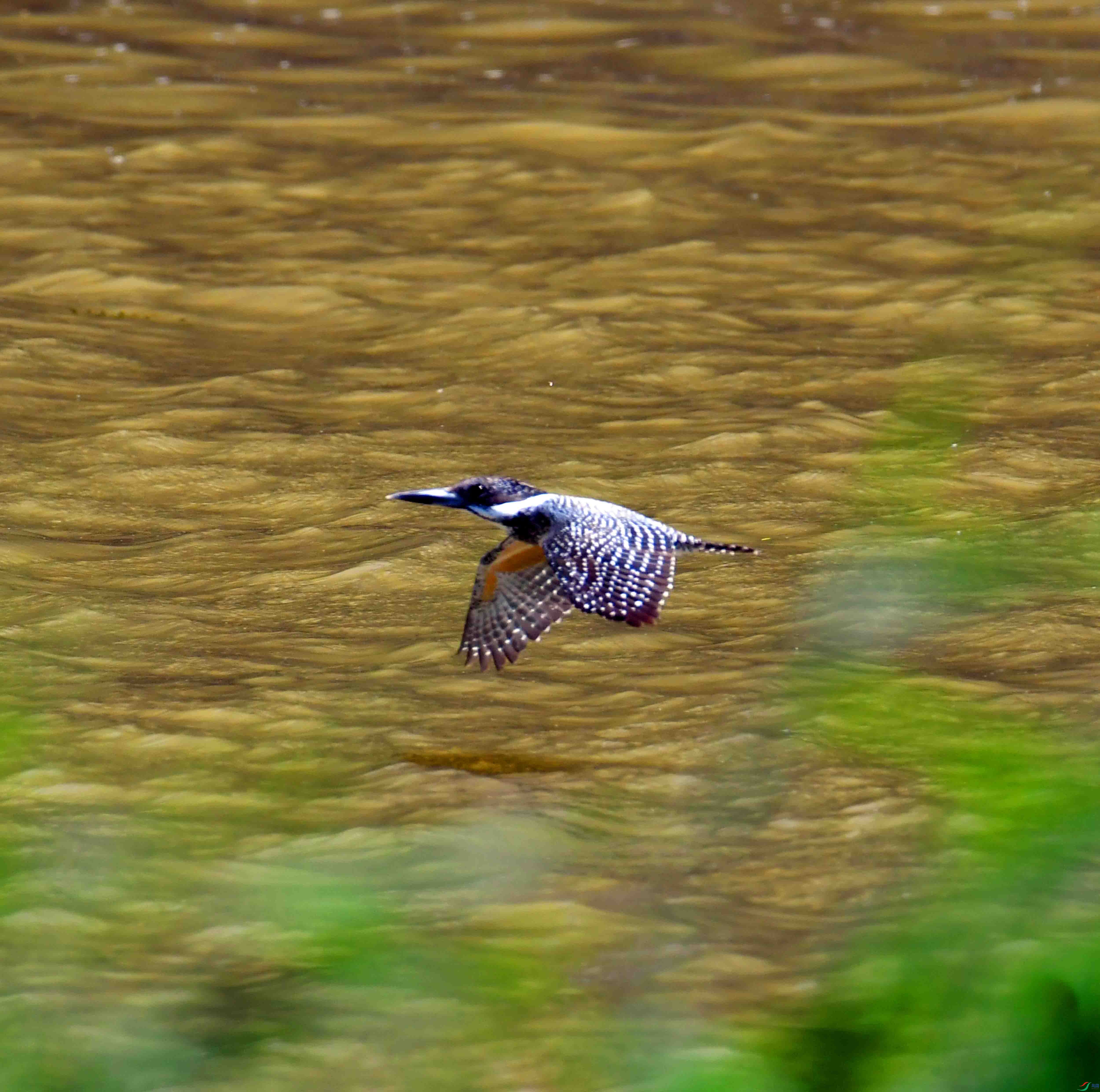 DSC_0892.JPG