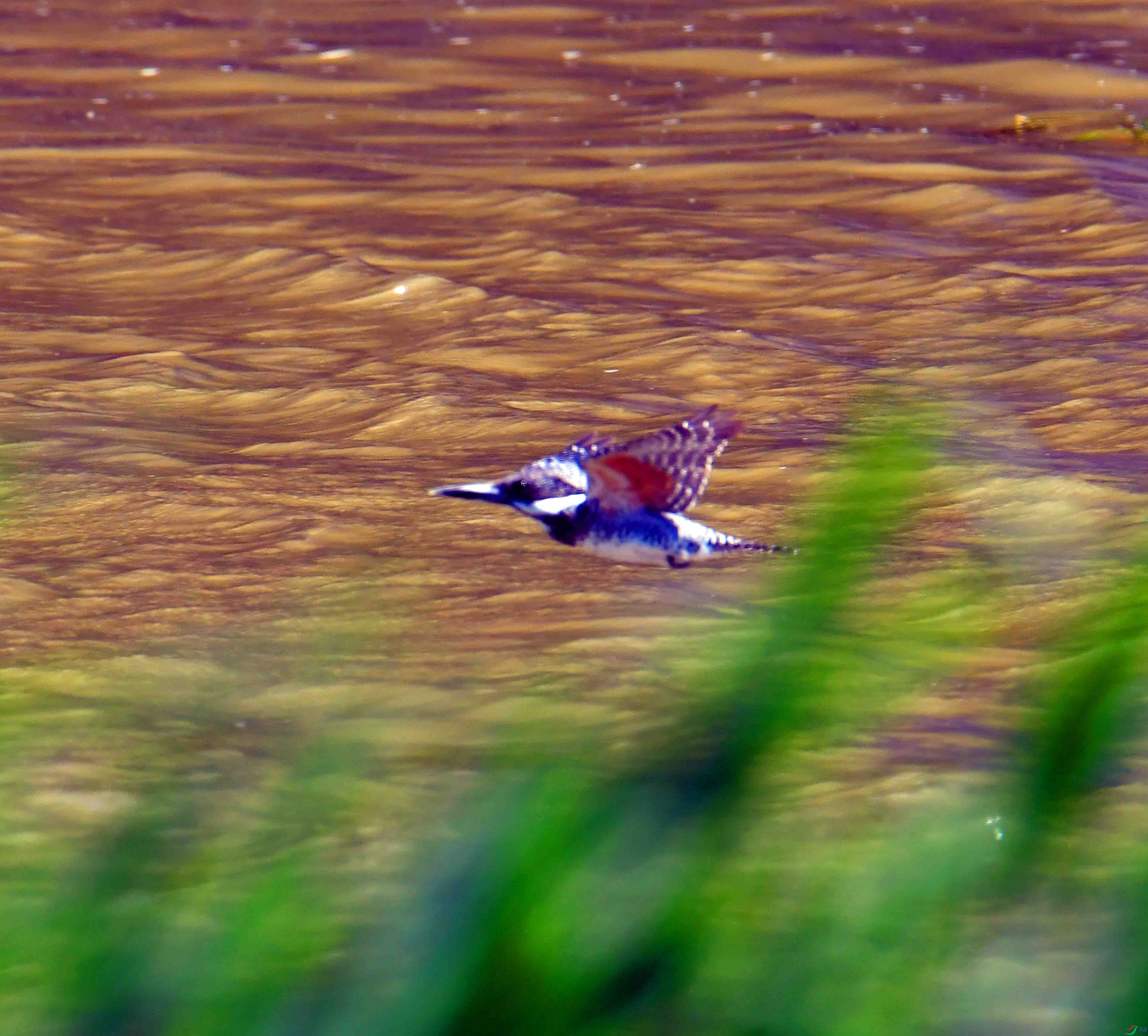 DSC_0890.JPG
