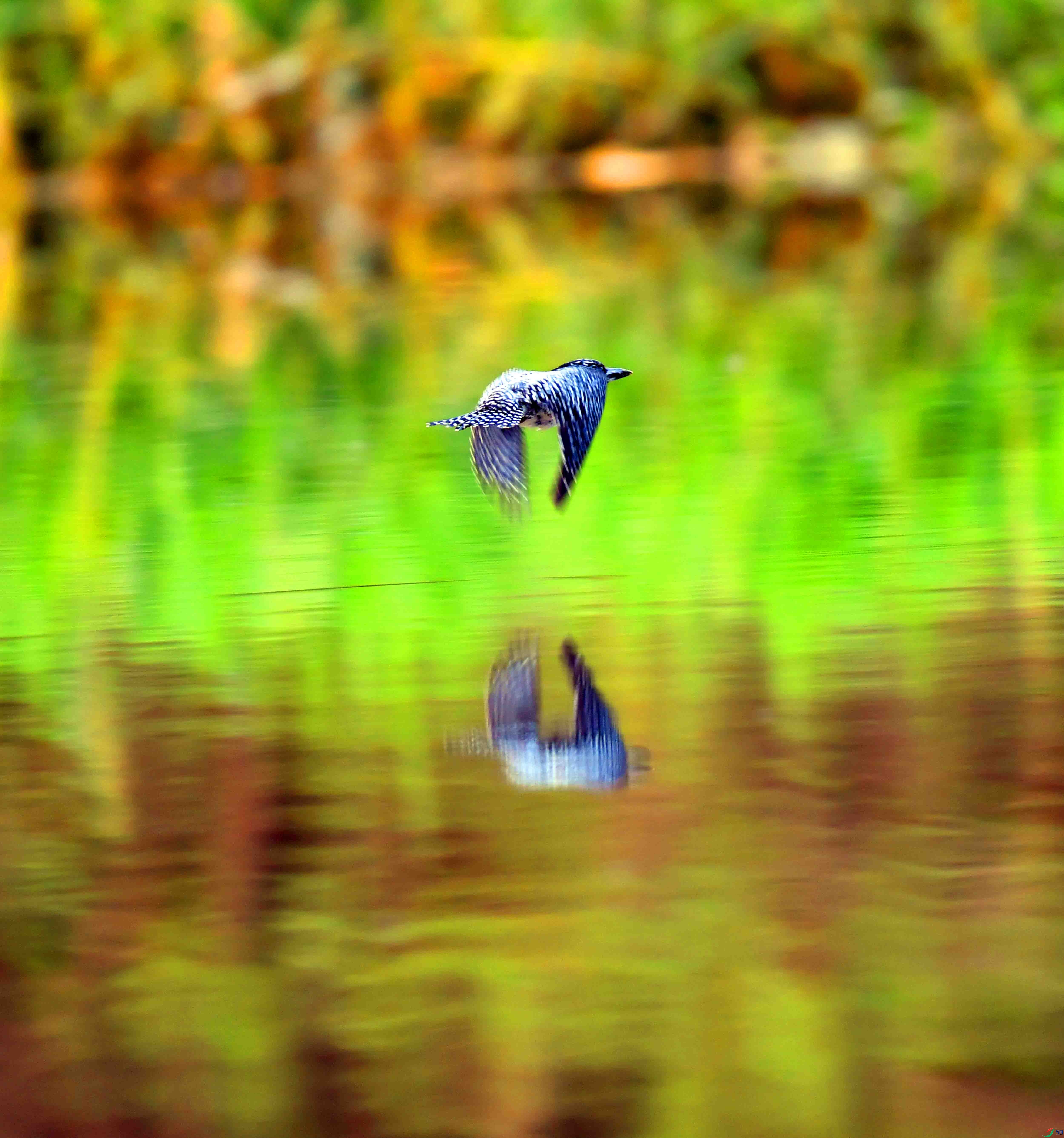 DSC_1144.JPG