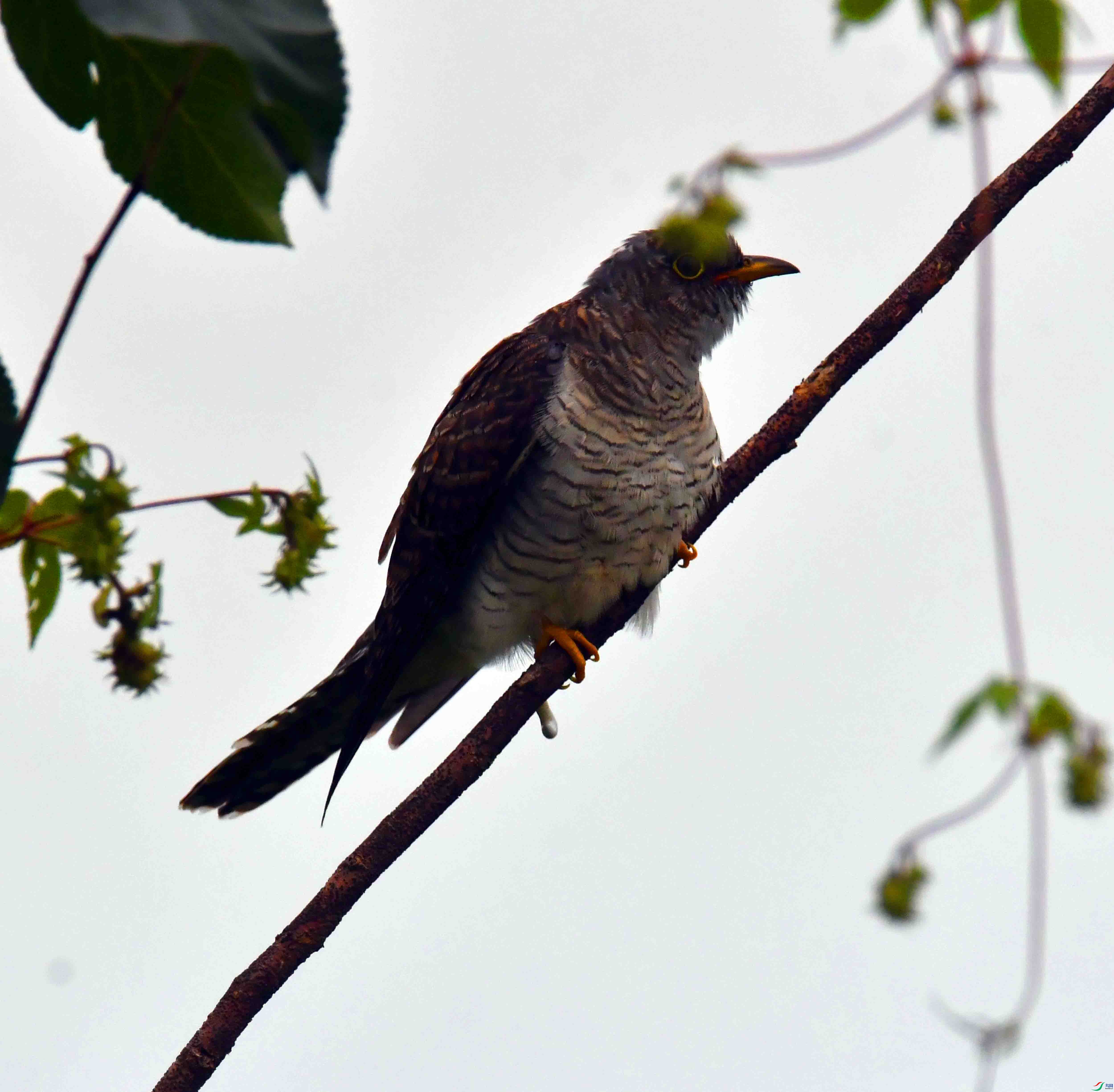 DSC_1892.JPG