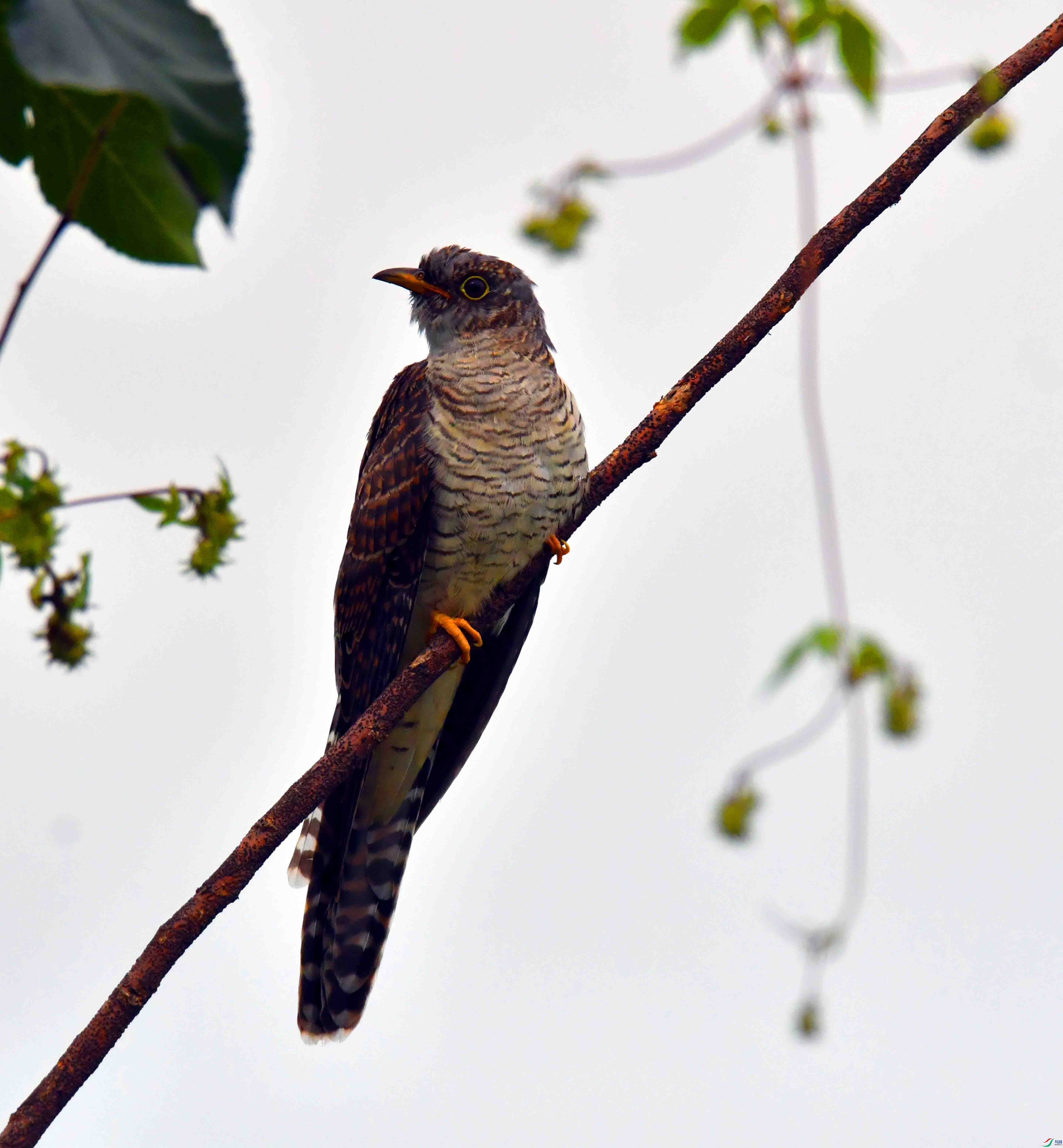 DSC_1891.JPG