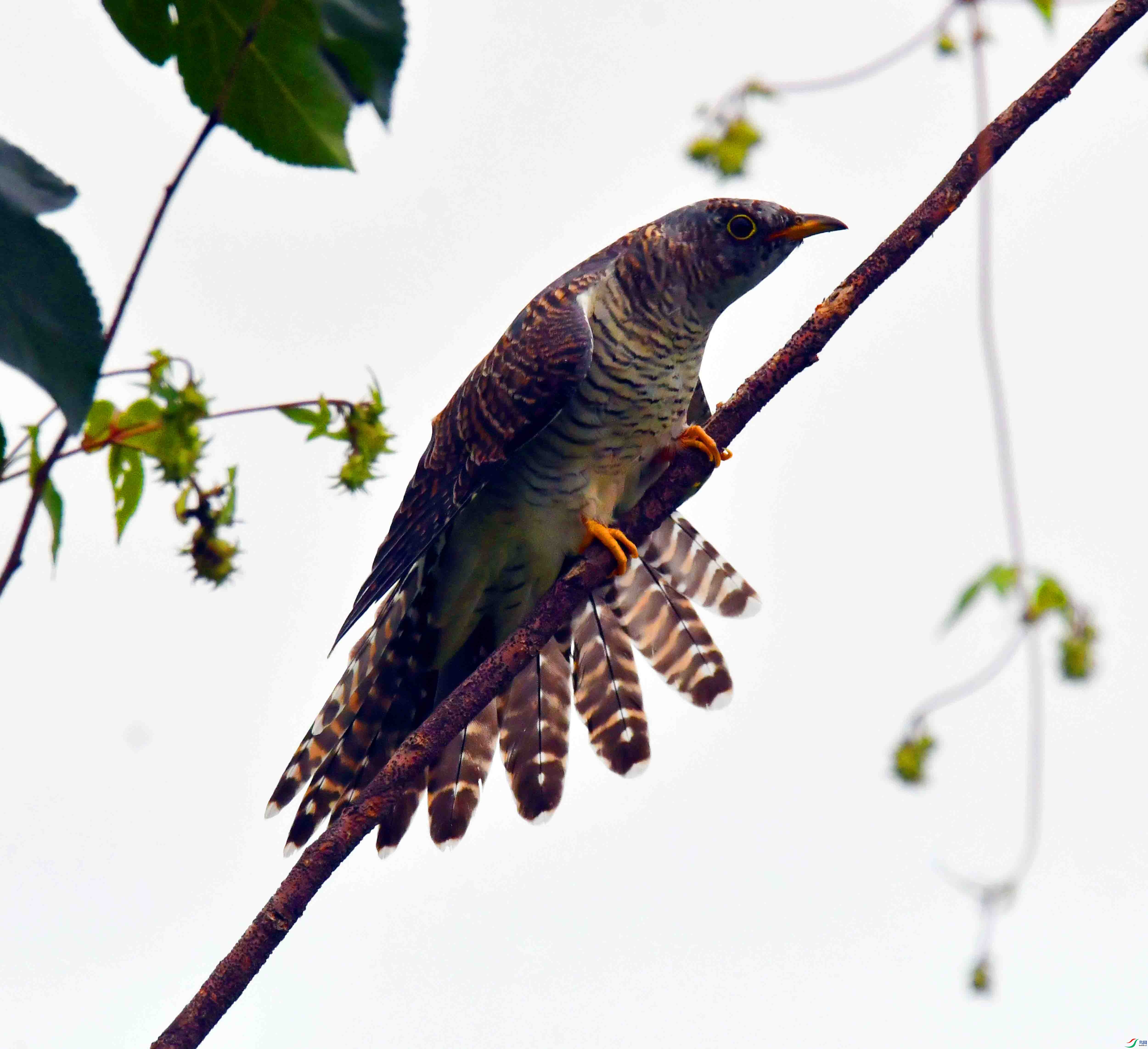 DSC_1912.JPG