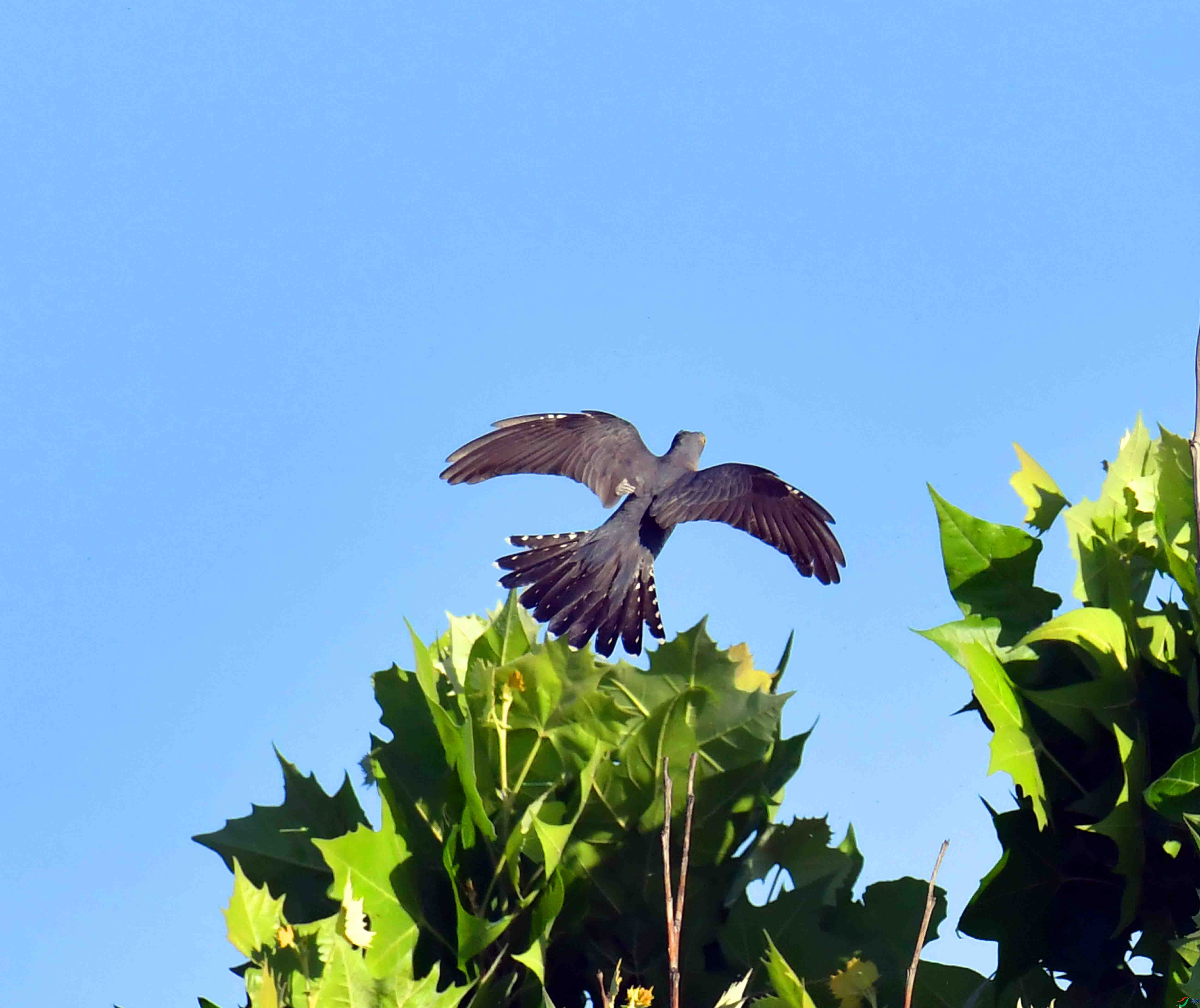 DSC_6283.JPG