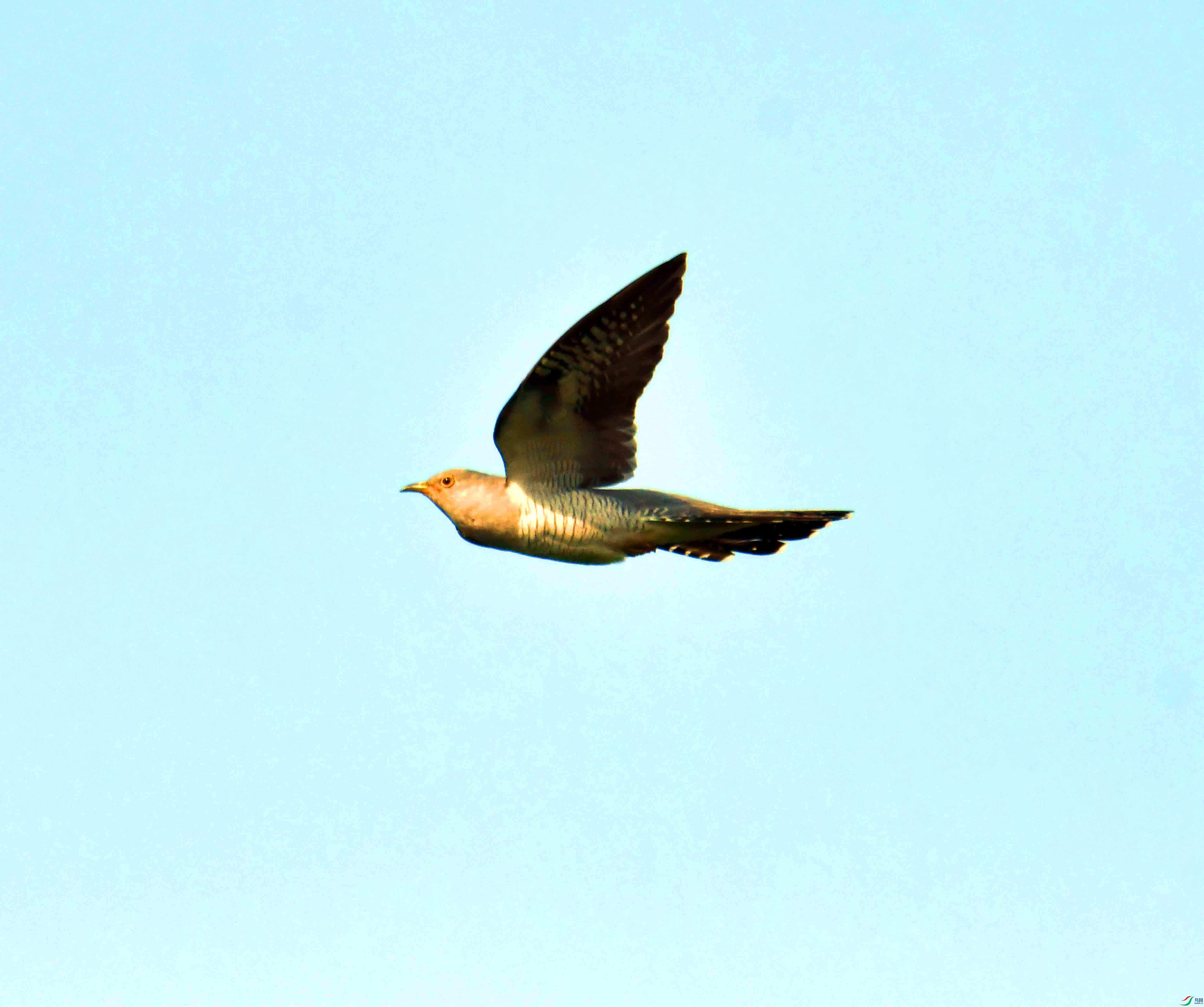DSC_9553.JPG