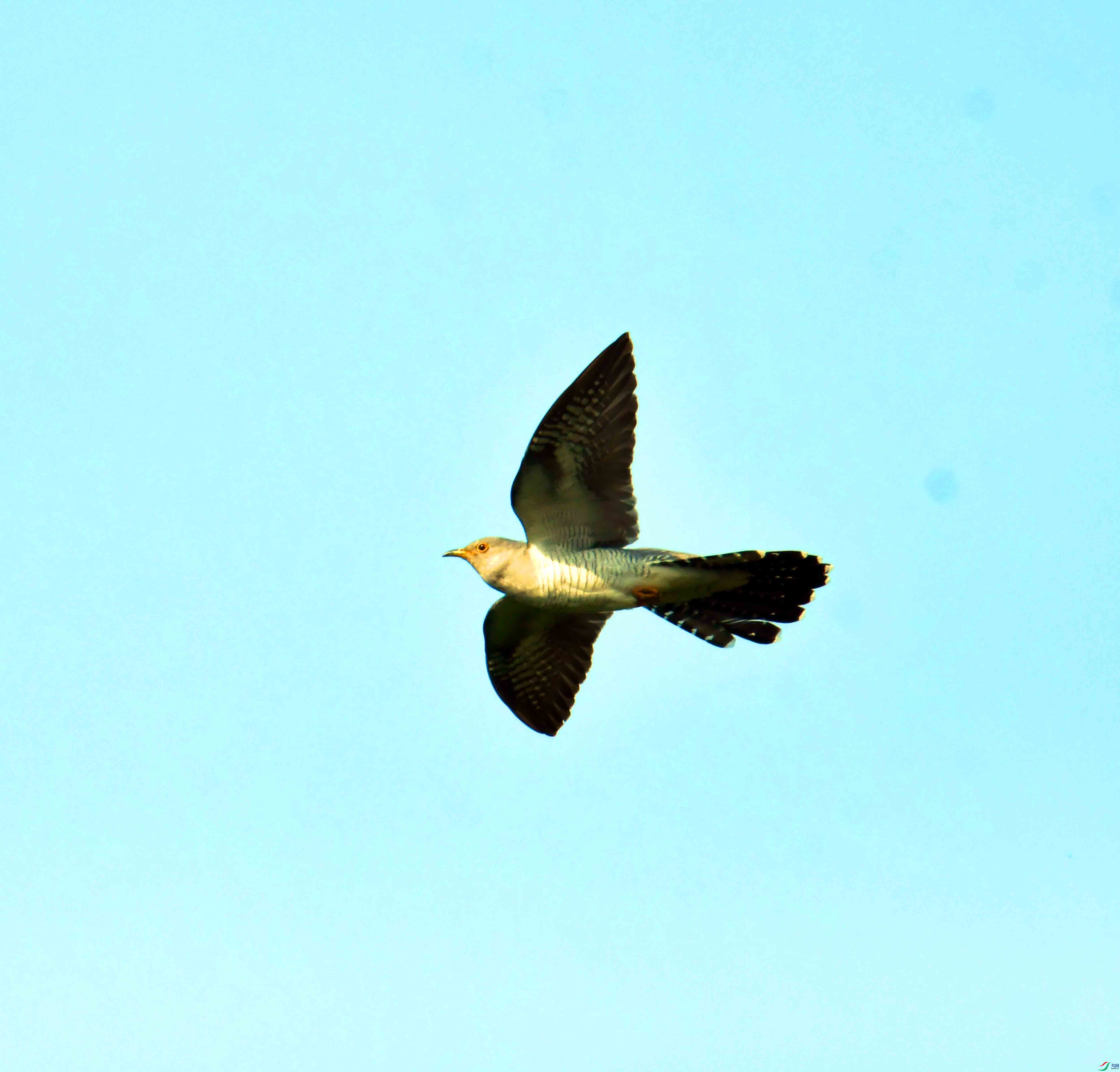 DSC_9555.JPG