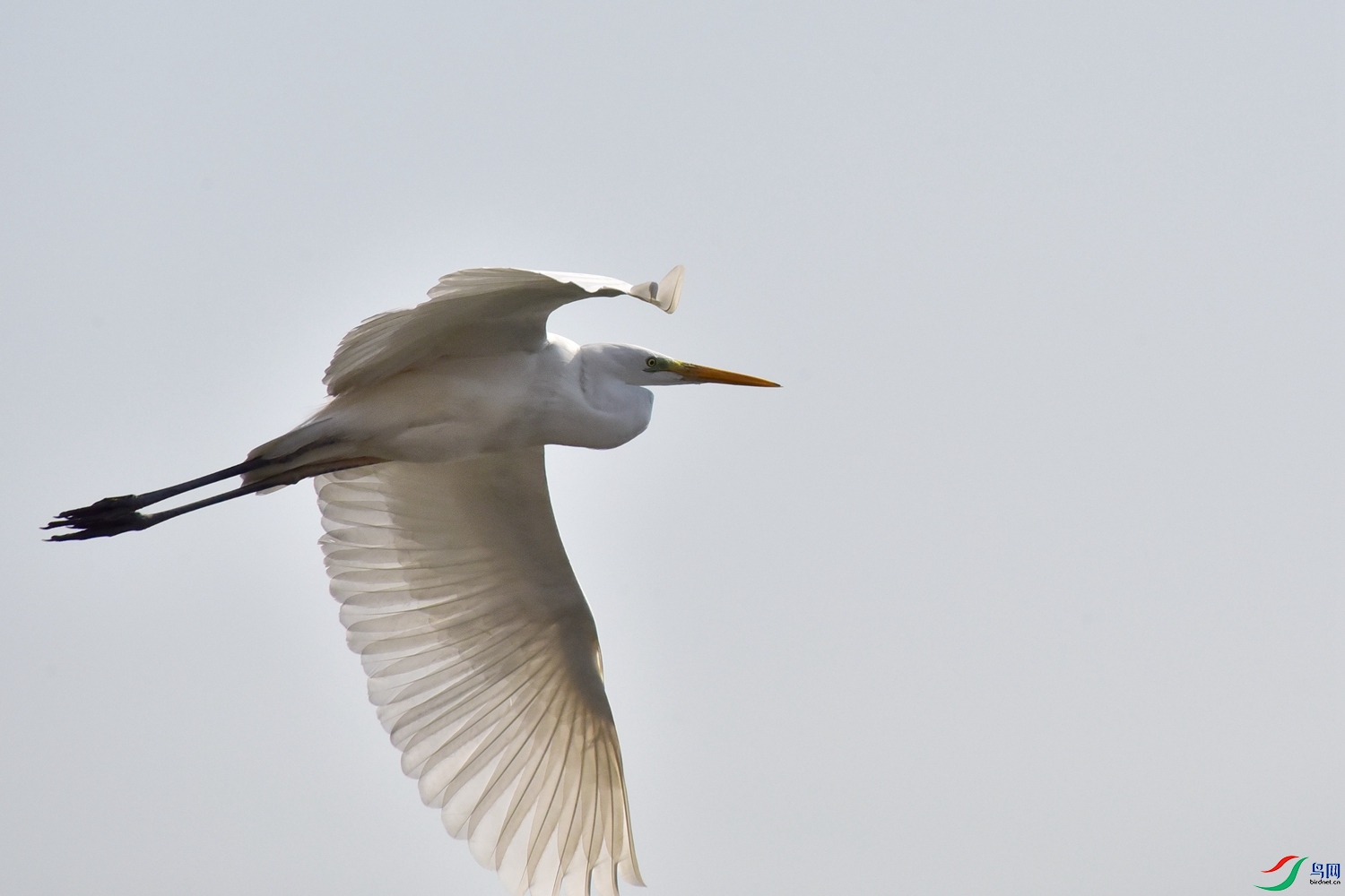 DSC_6139.JPG