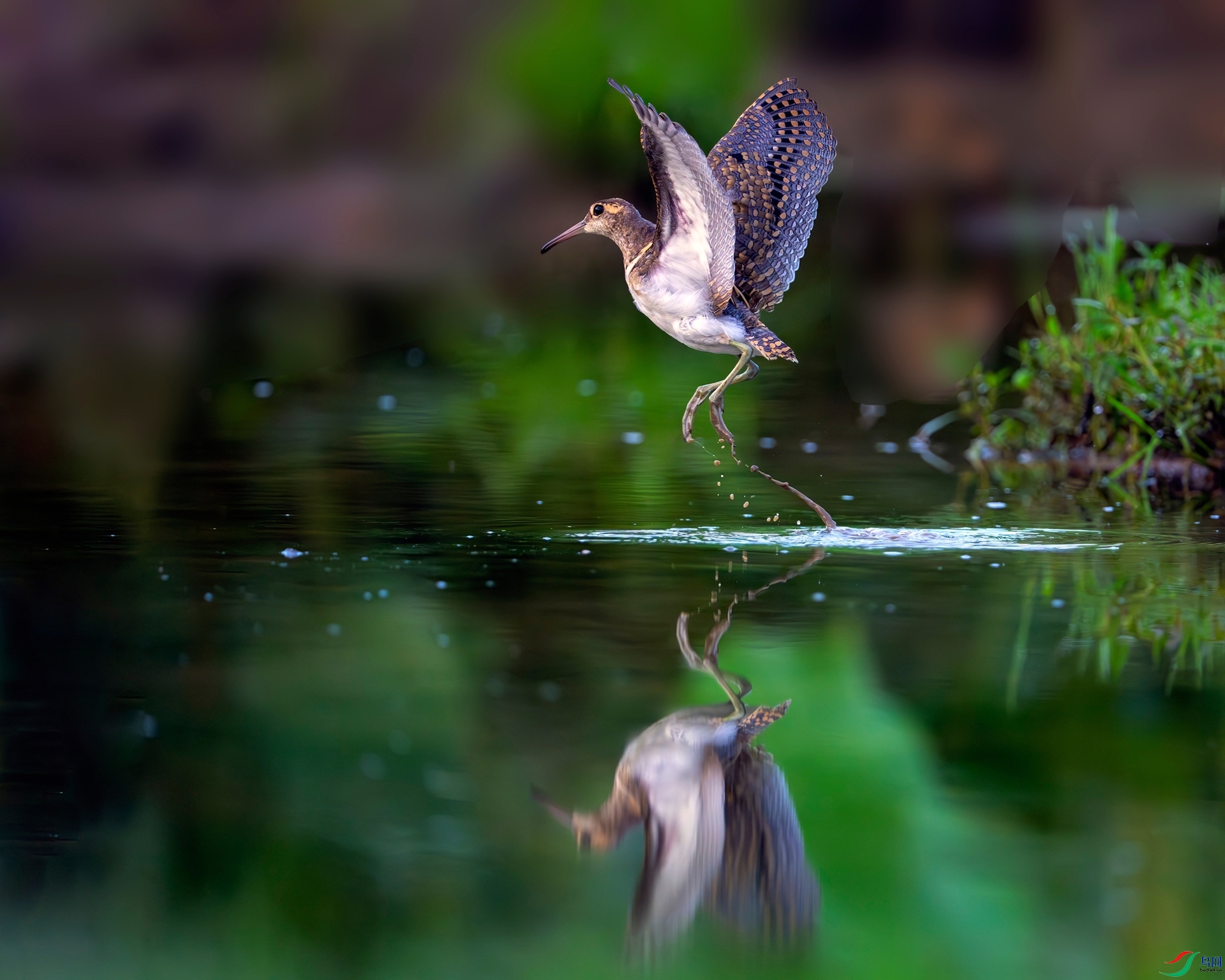 _DSC1023 ����02_����_����.jpg