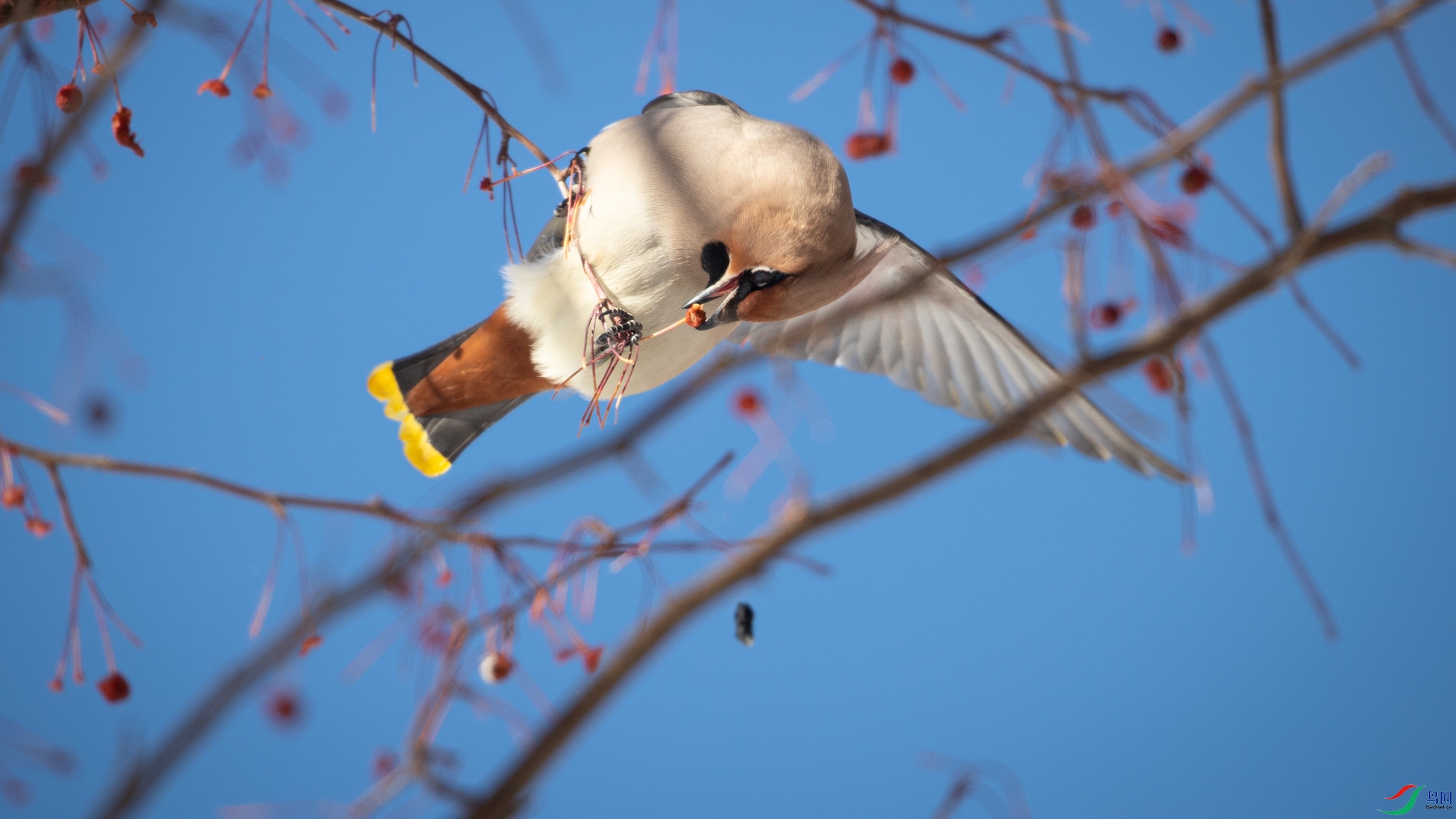 8001��ש����