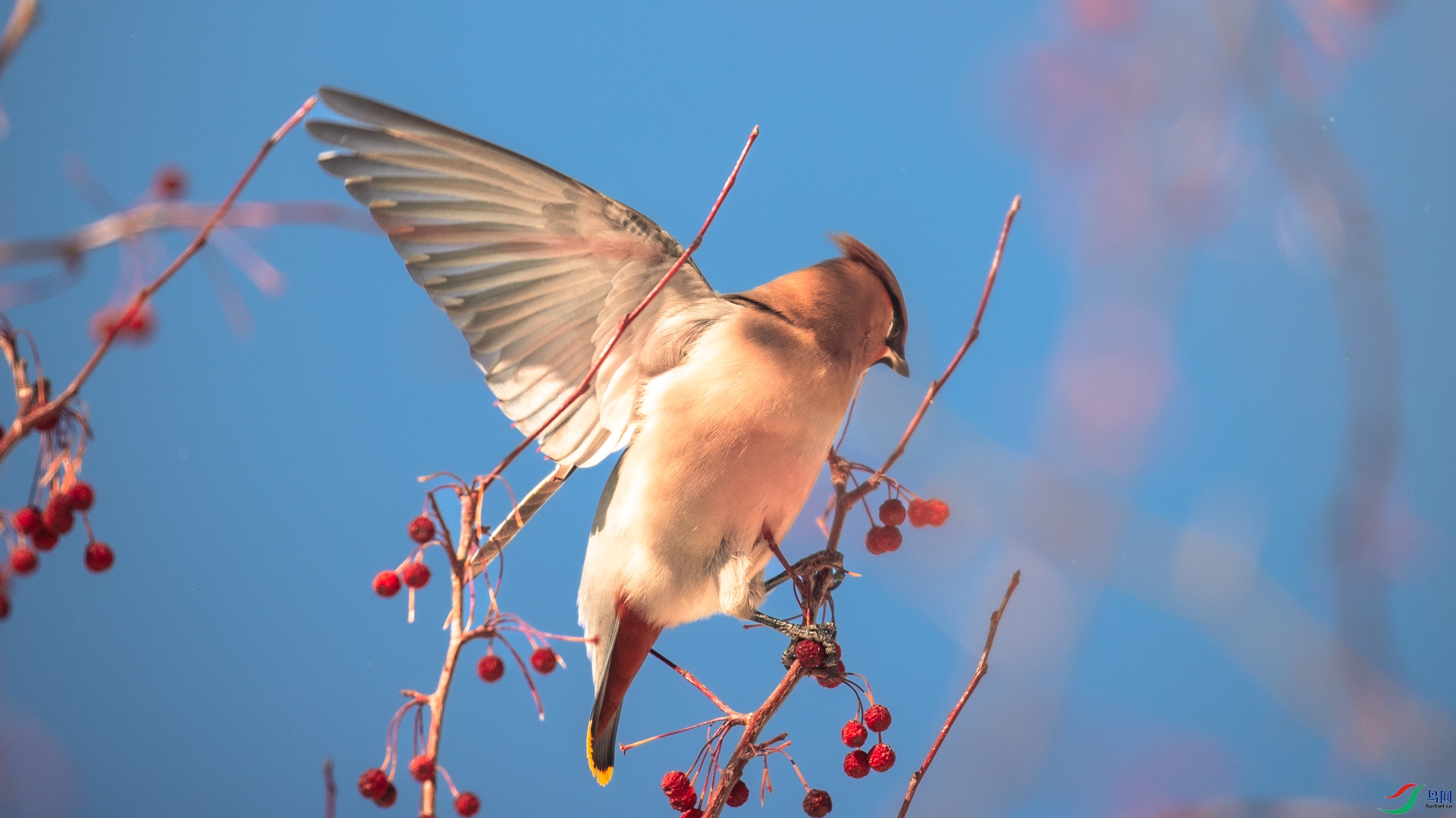 8002��ש����