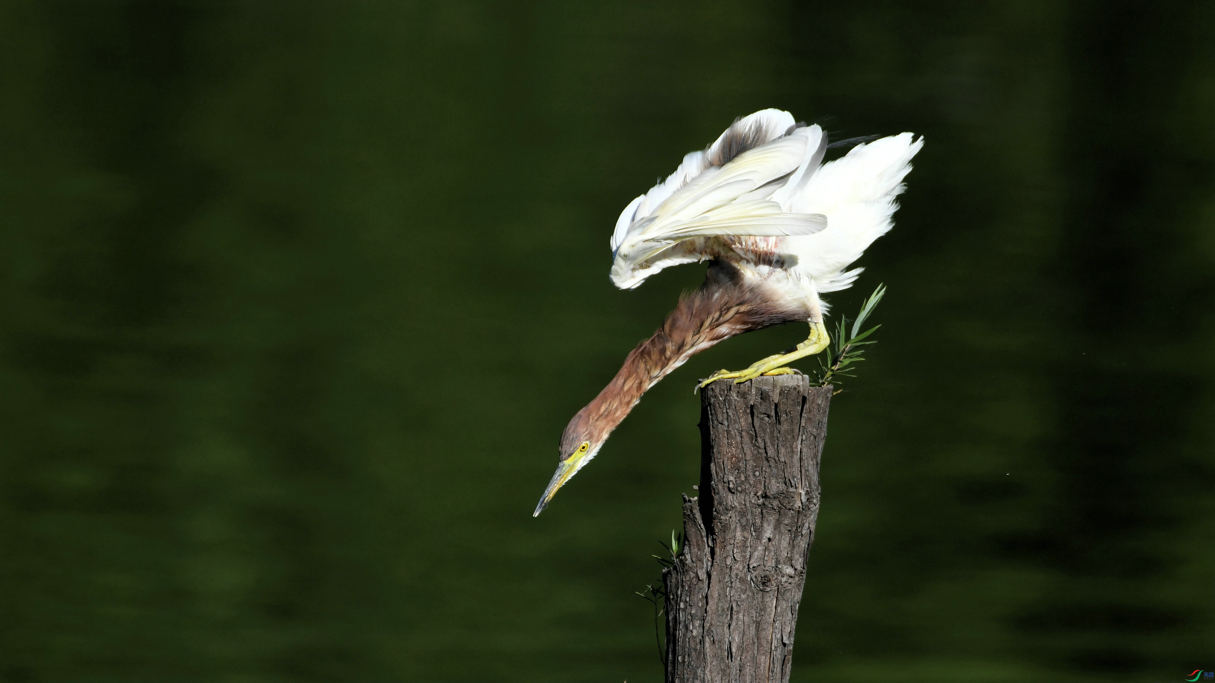 DSC_3399.JPG