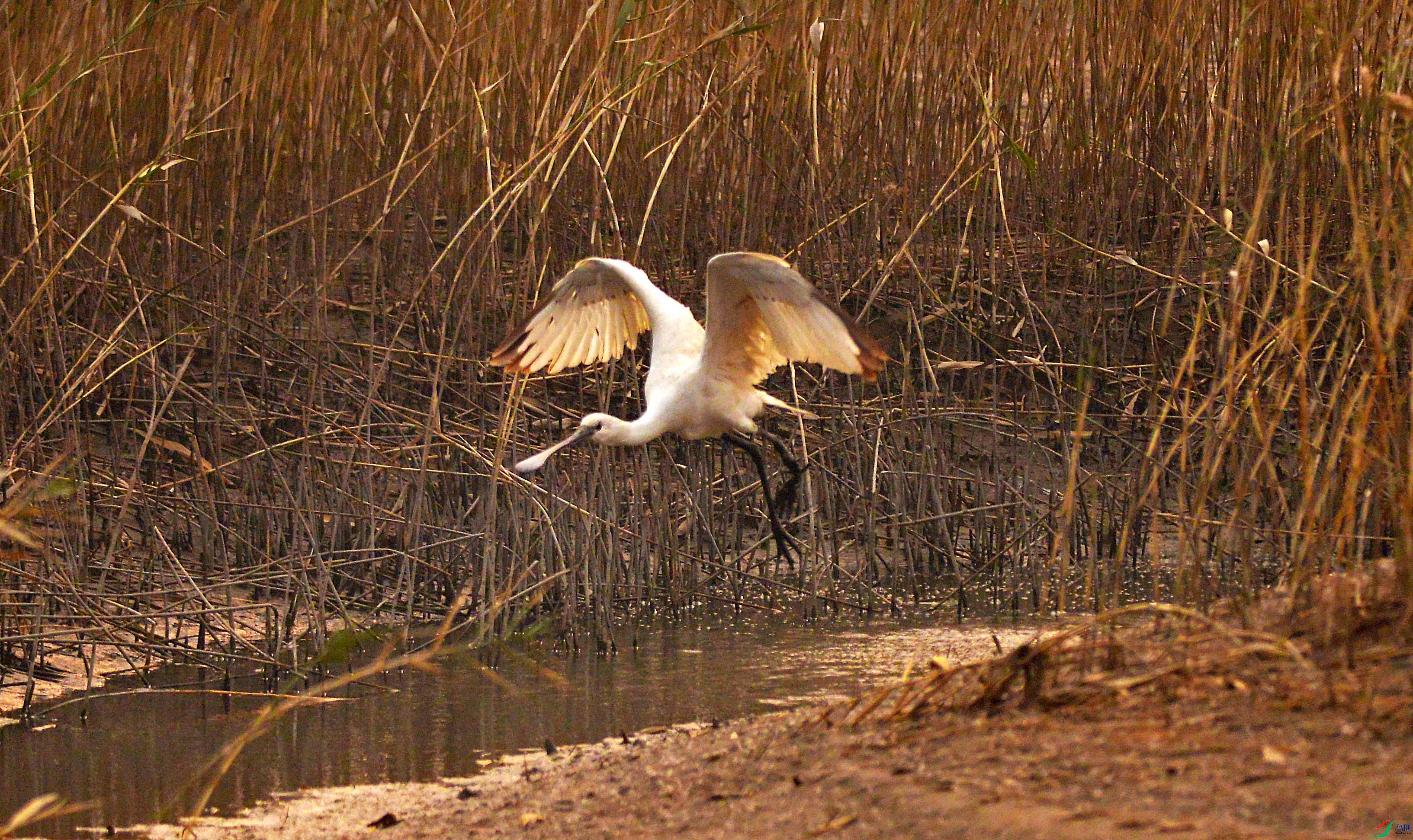 DSC_6804.jpg