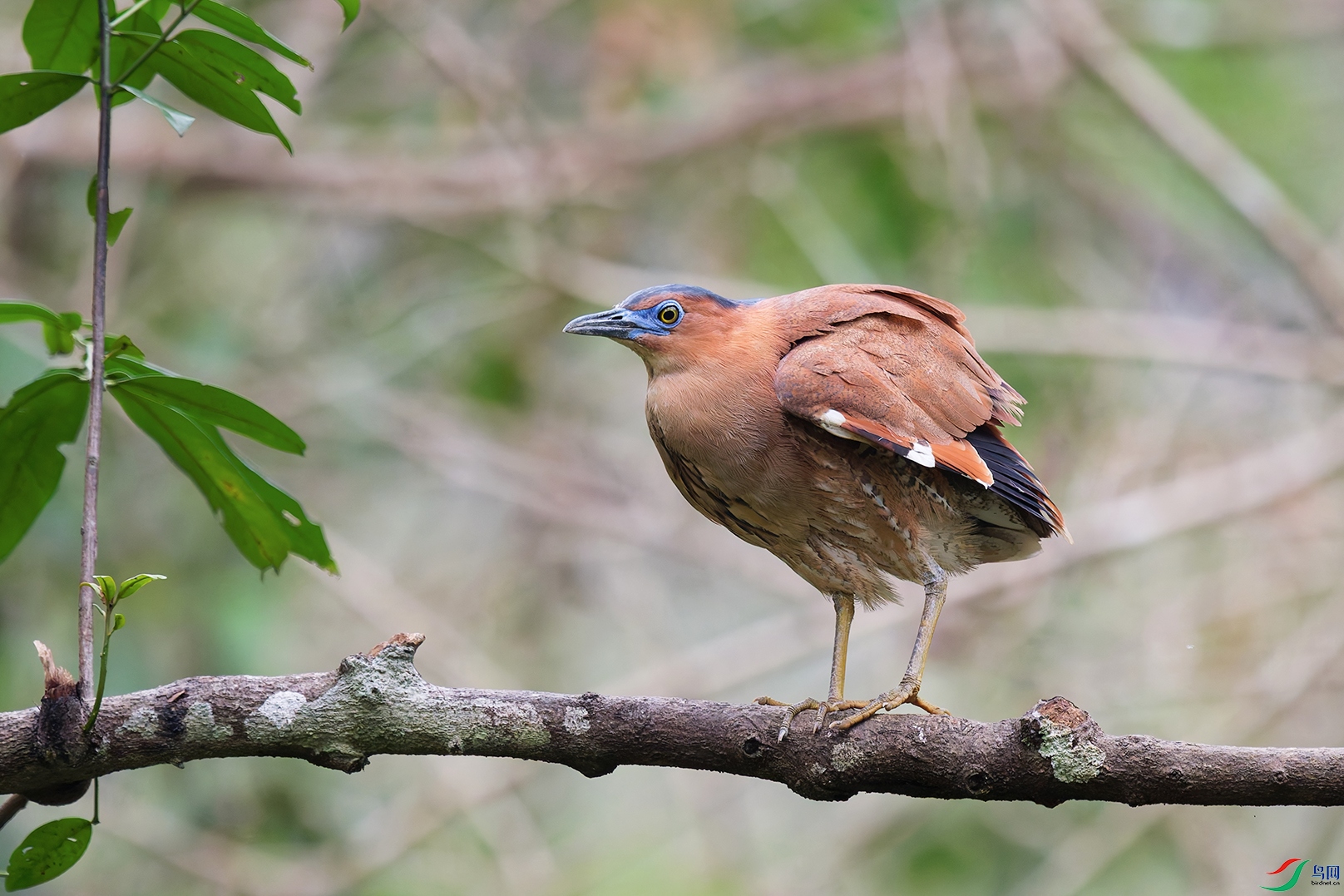 DSC_7708_DxO_DxOa.jpg