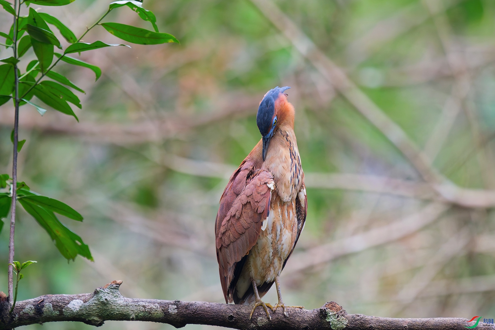 2DSC_7411_DxO_DxOa.jpg