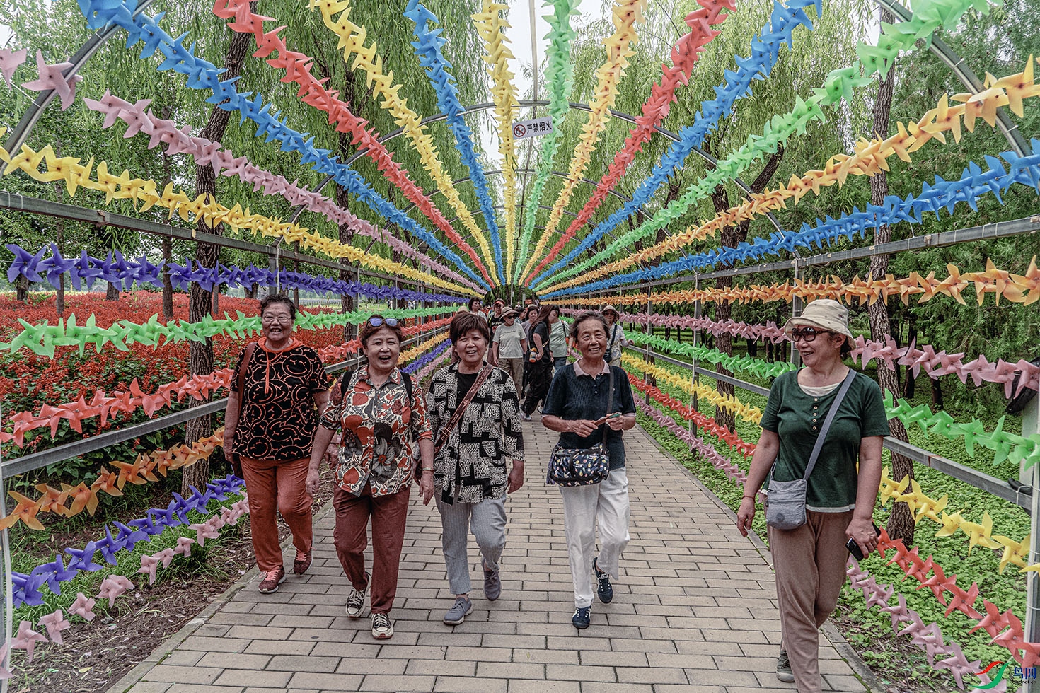 DSC07603 ����.jpg