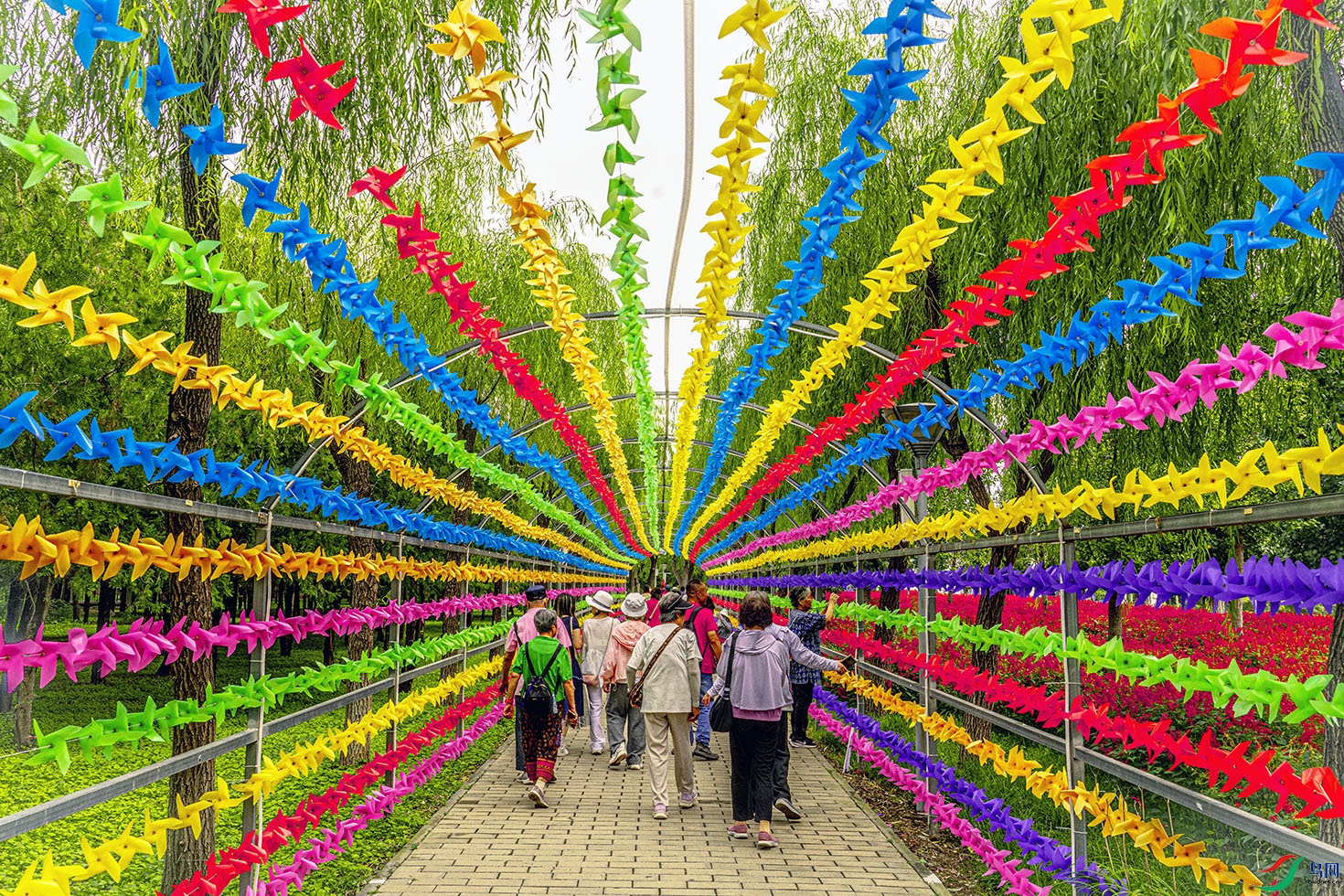 DSC07601 ����.jpg