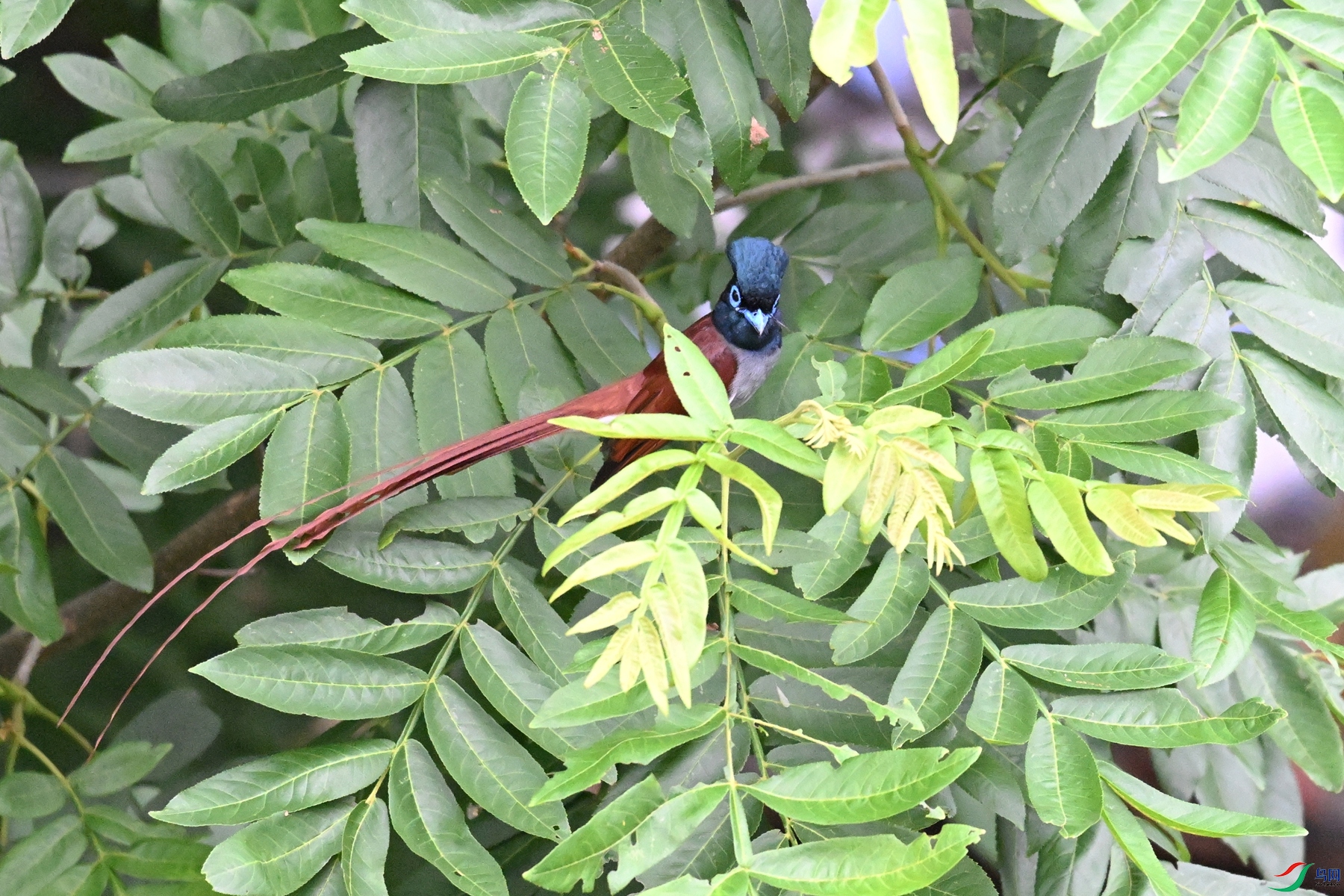 DSC_5948.JPG