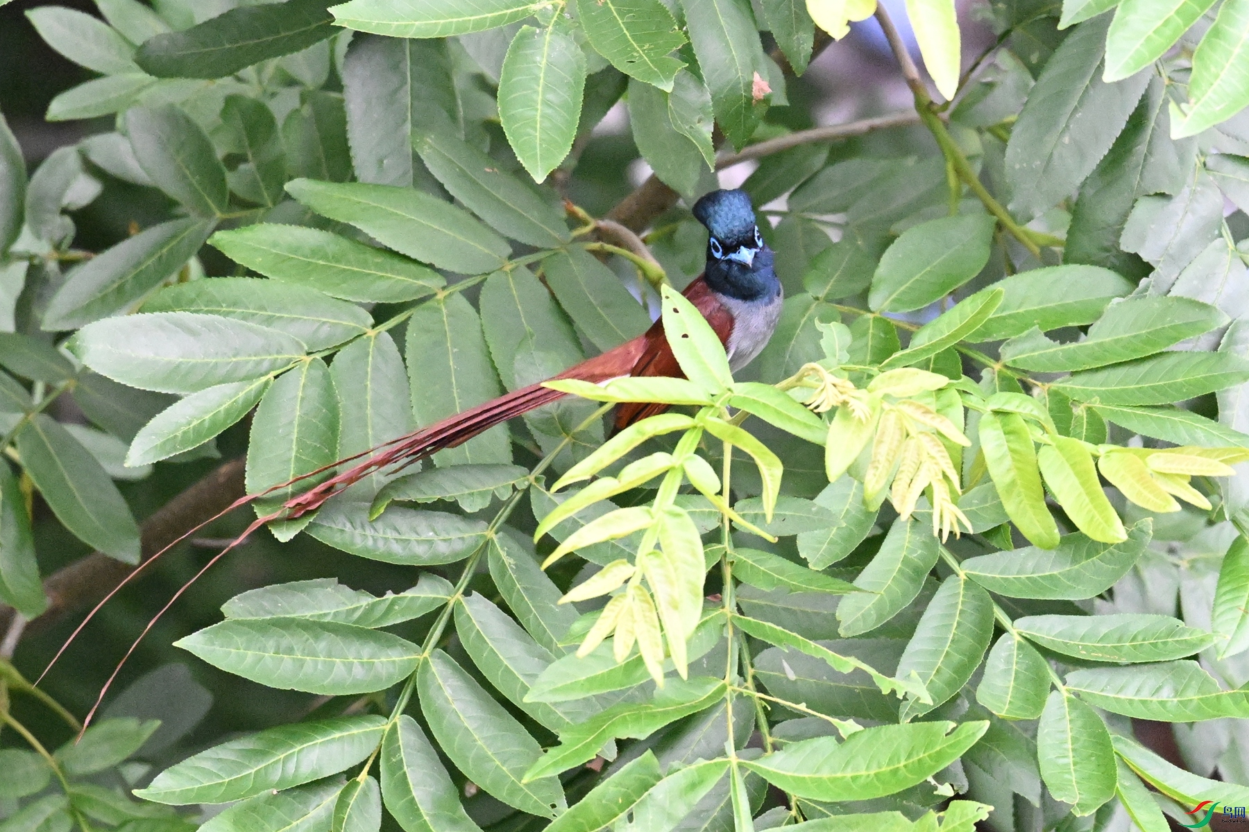 DSC_5965.JPG